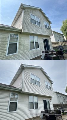Project in Lakemoor
