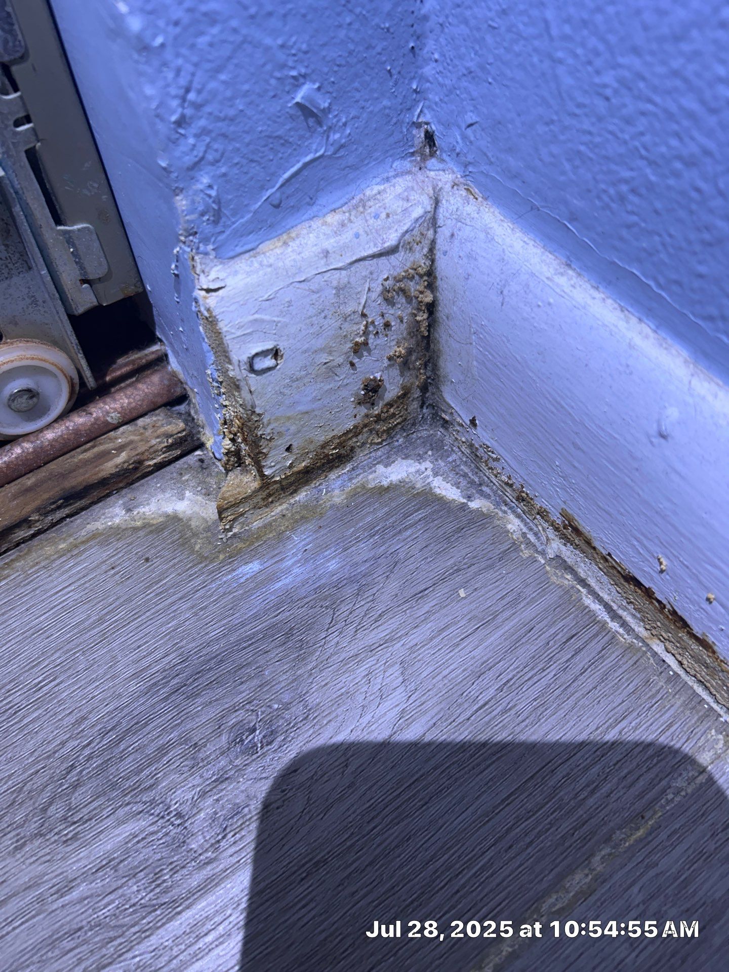Mold Restoration In Bradenton by Ampm Restoration Services