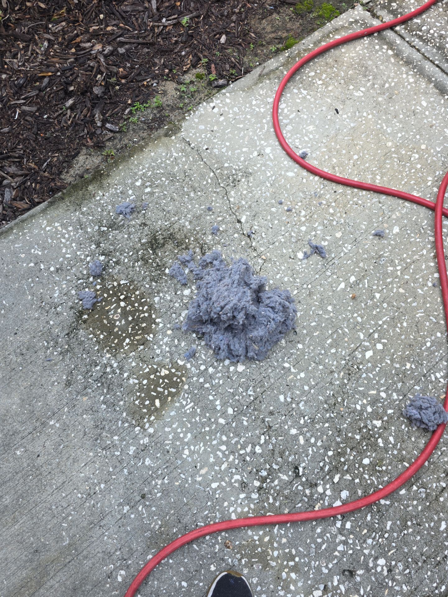 Dryer Vent Cleaning and Repair in Clermont by Hygienic Air, Inc