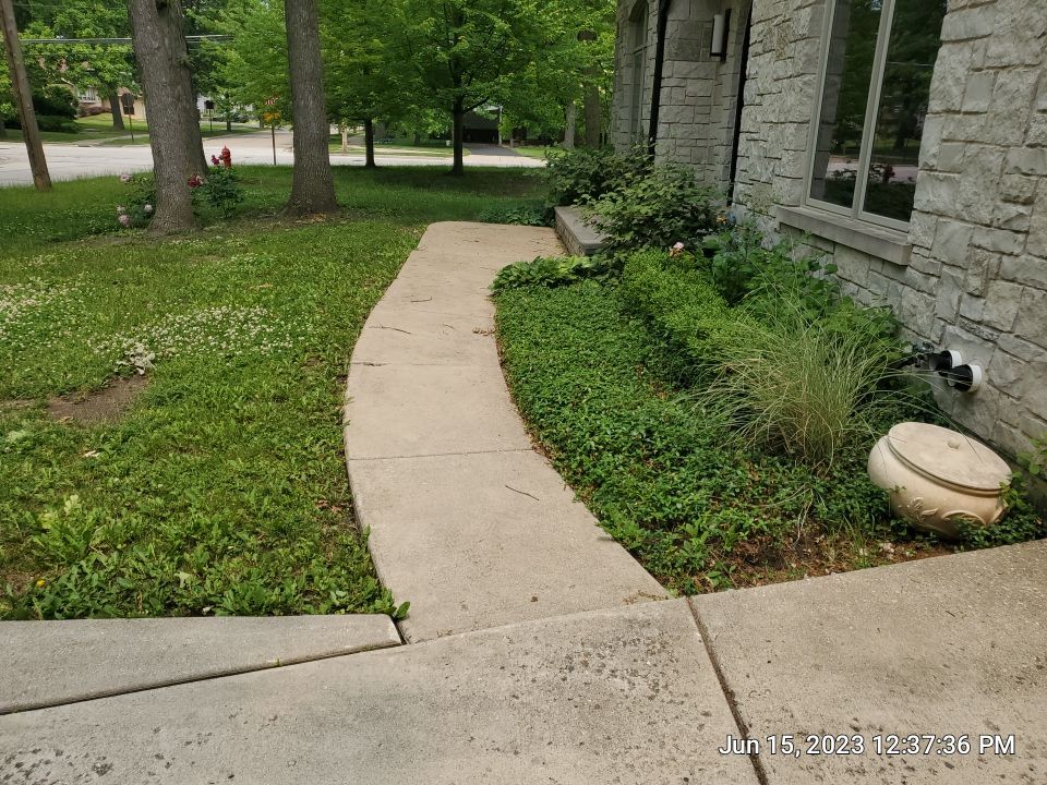 Highland Park, IL Bluestone, concrete,  Trex deck cleaning by Northern Power Washing LLC.