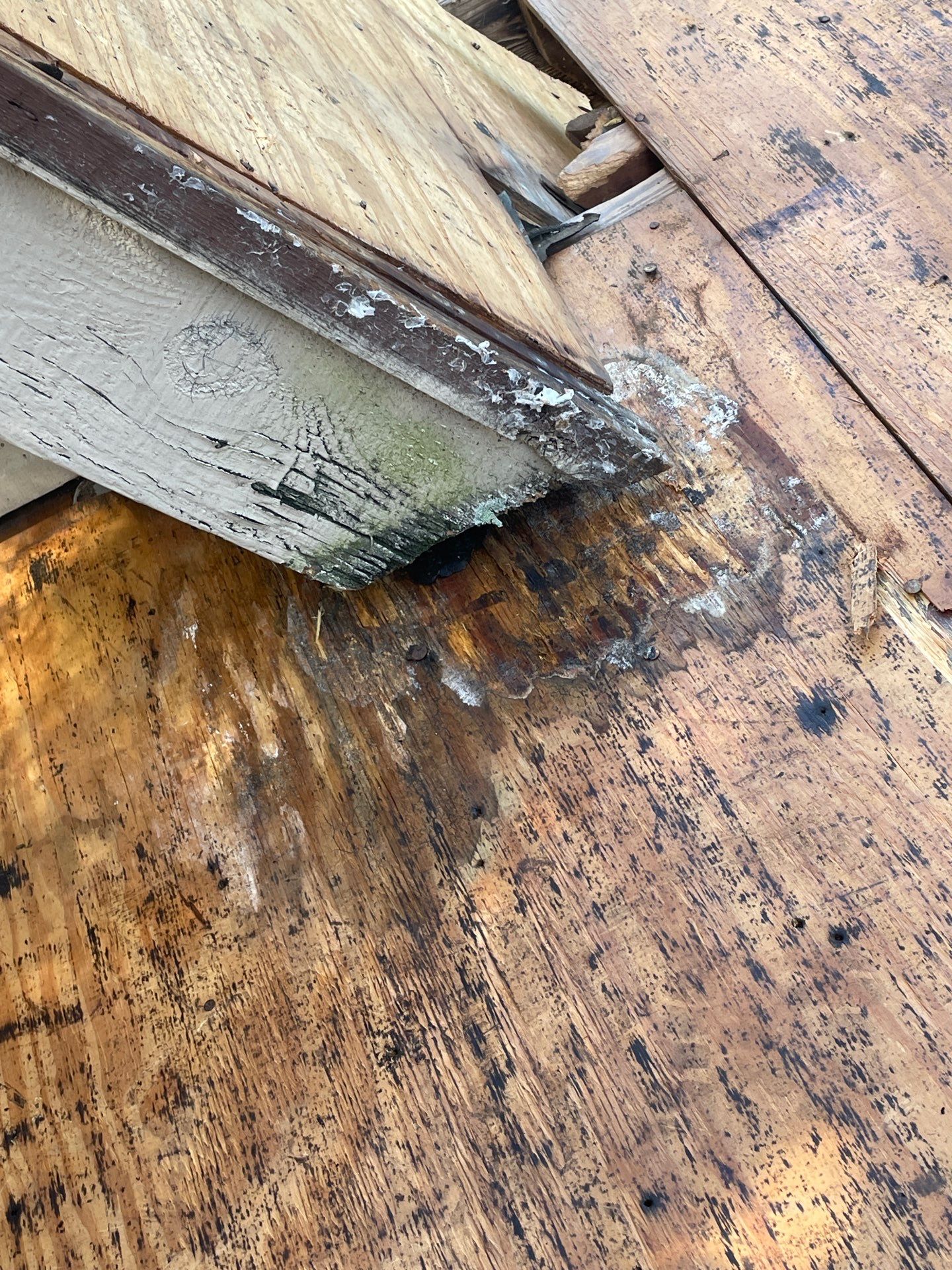 Roof Replacement Humble by Roof Repair Services LLC