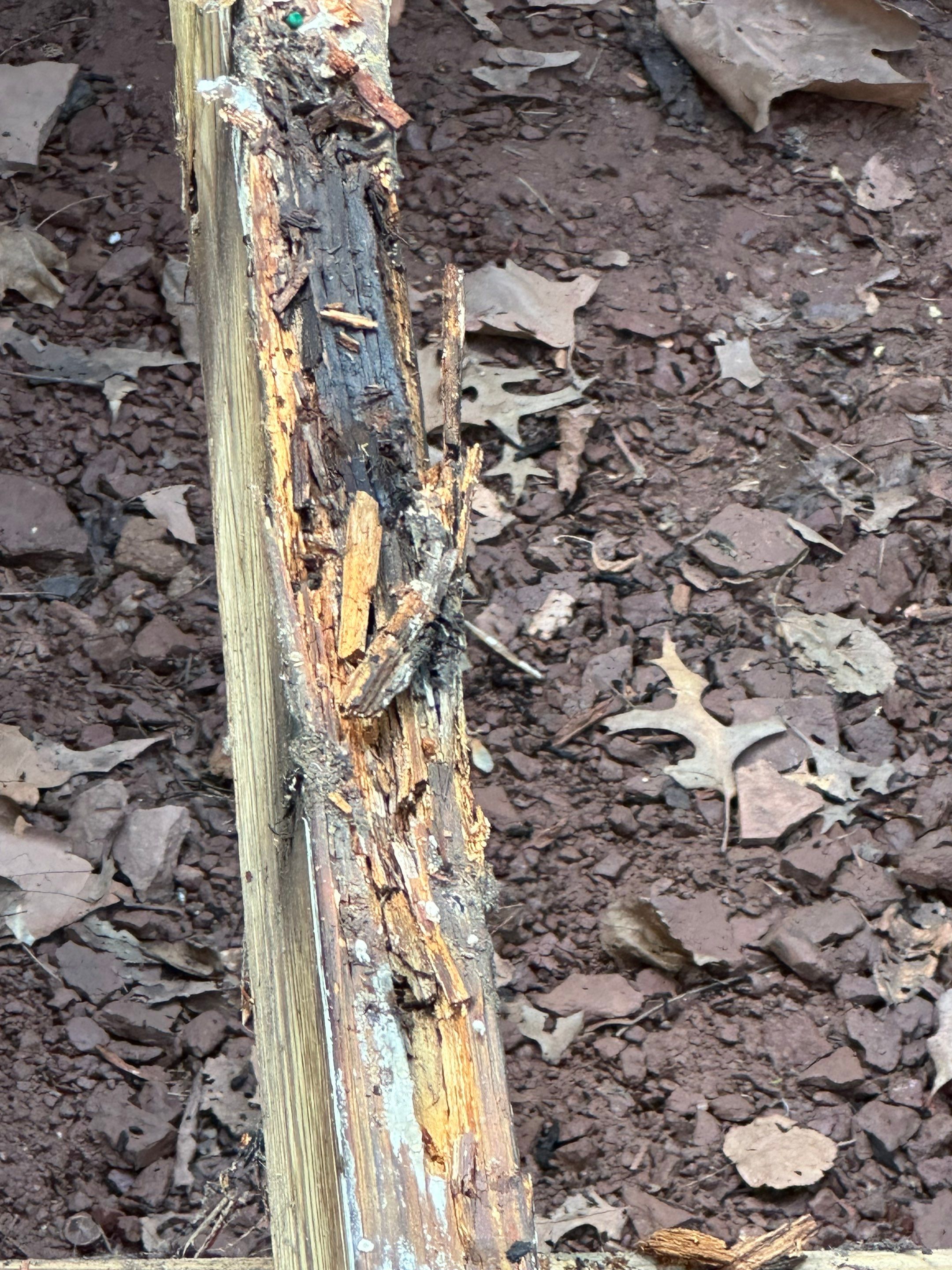 Deck resurface in Flemington by deck guardian