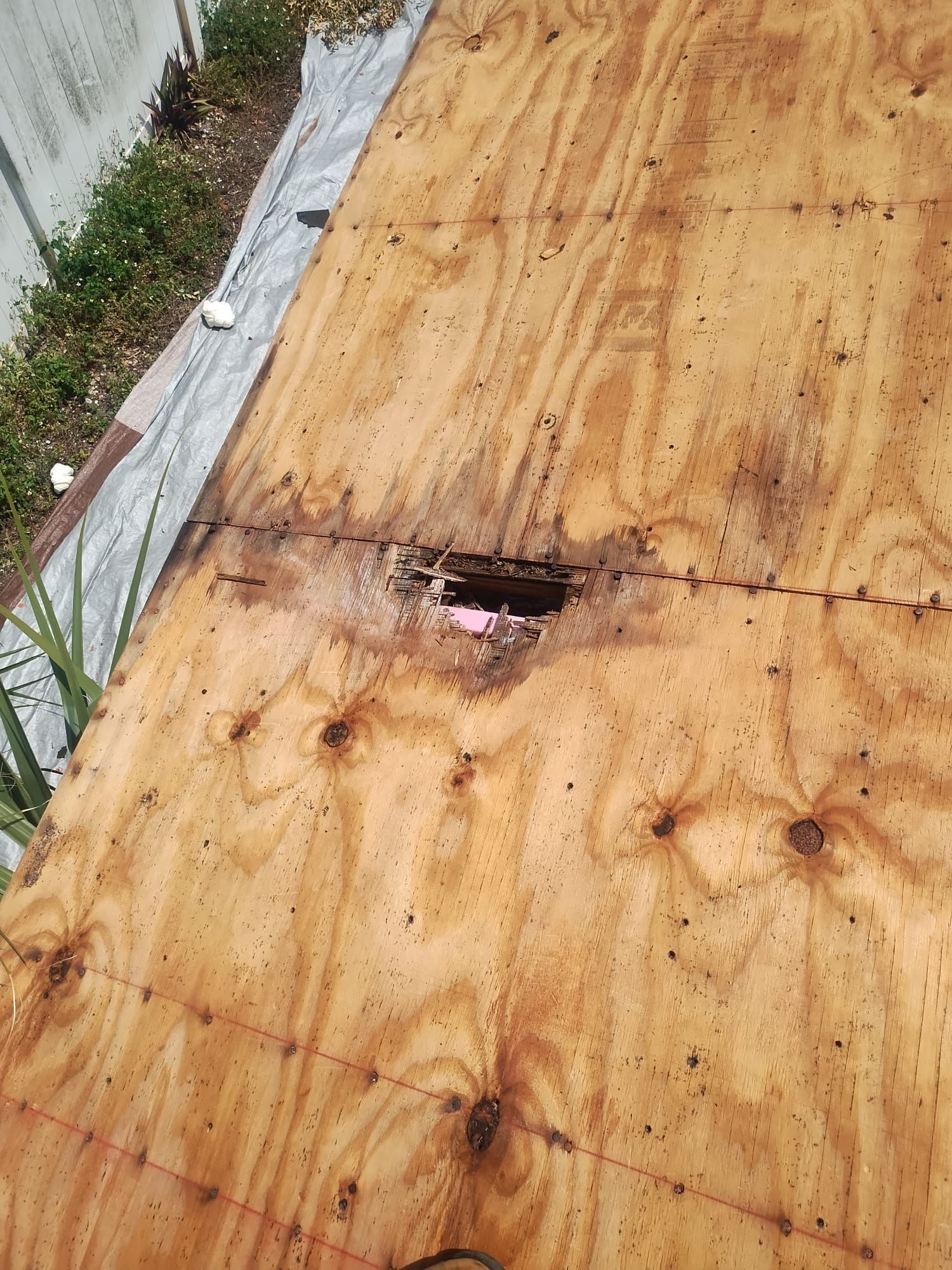 Project in St. Petersburg 33712 by Mitchell Roofing Company LLC 