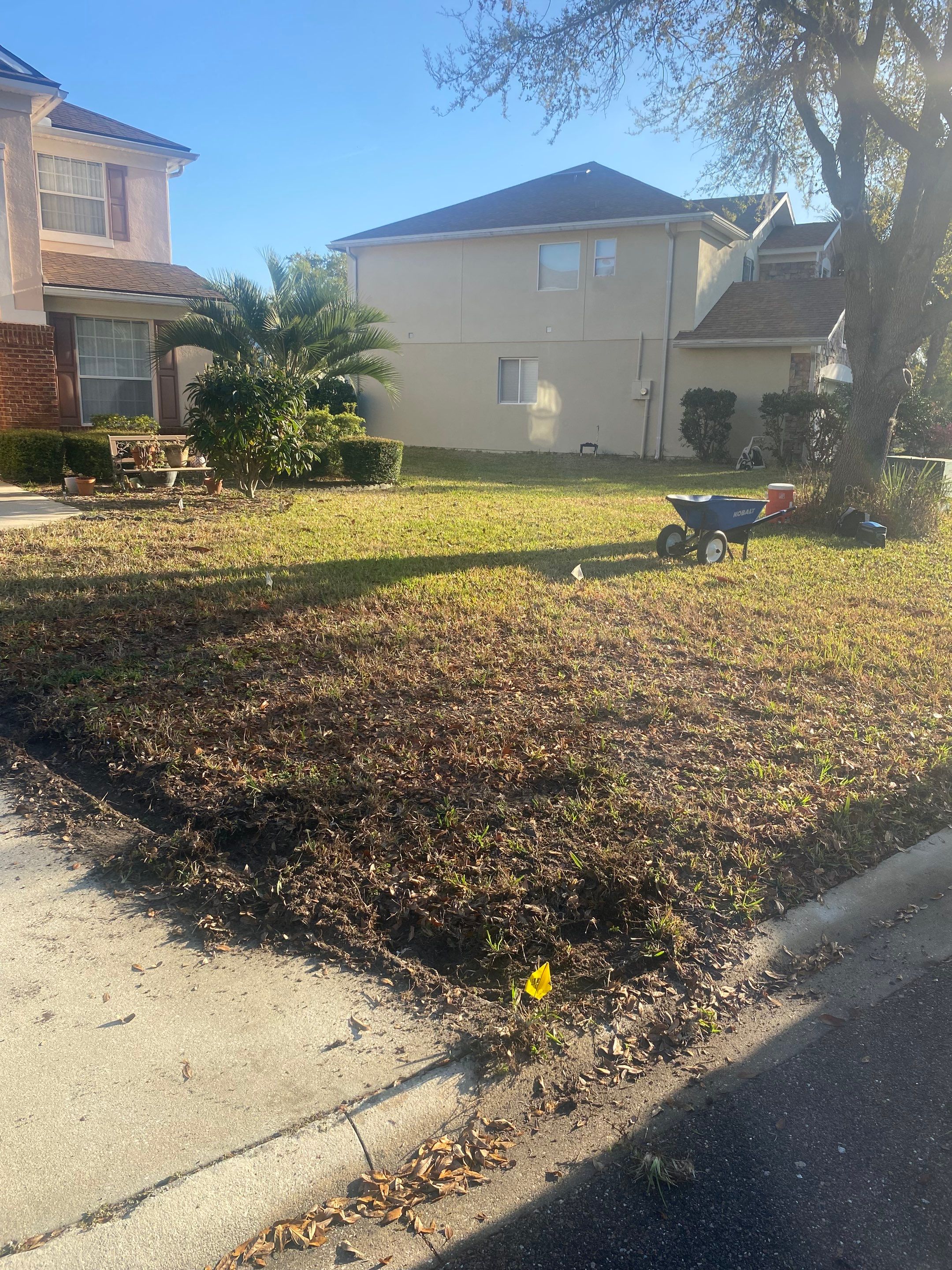 Residential | Sod Install by ProGreen Services