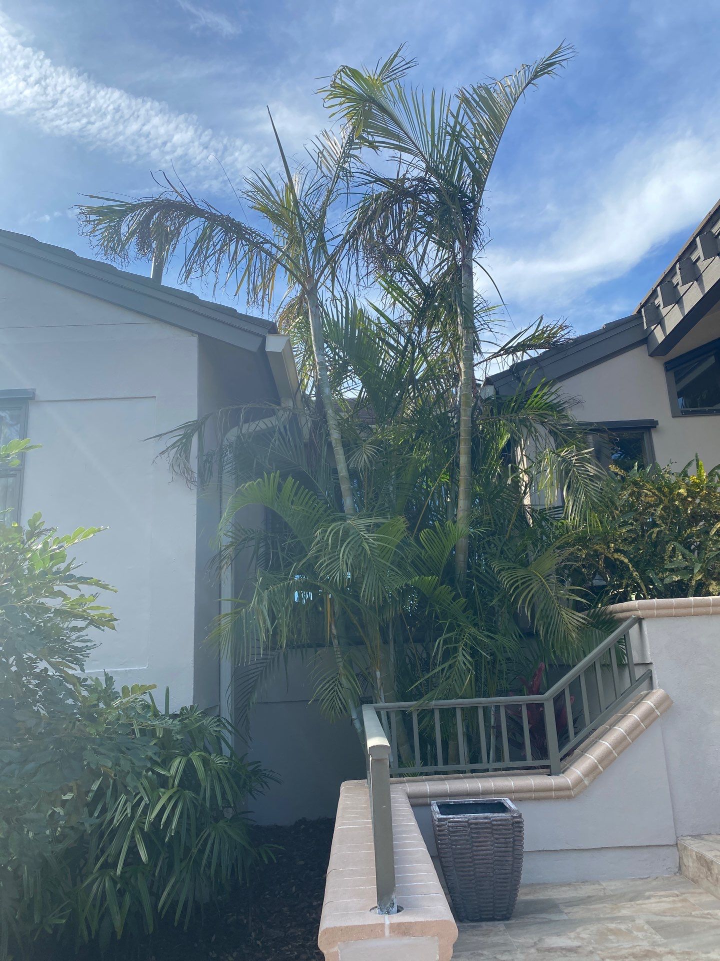 7-Inch K-Style Seamless Gutters in Longboat Key FL by Gutter Professors