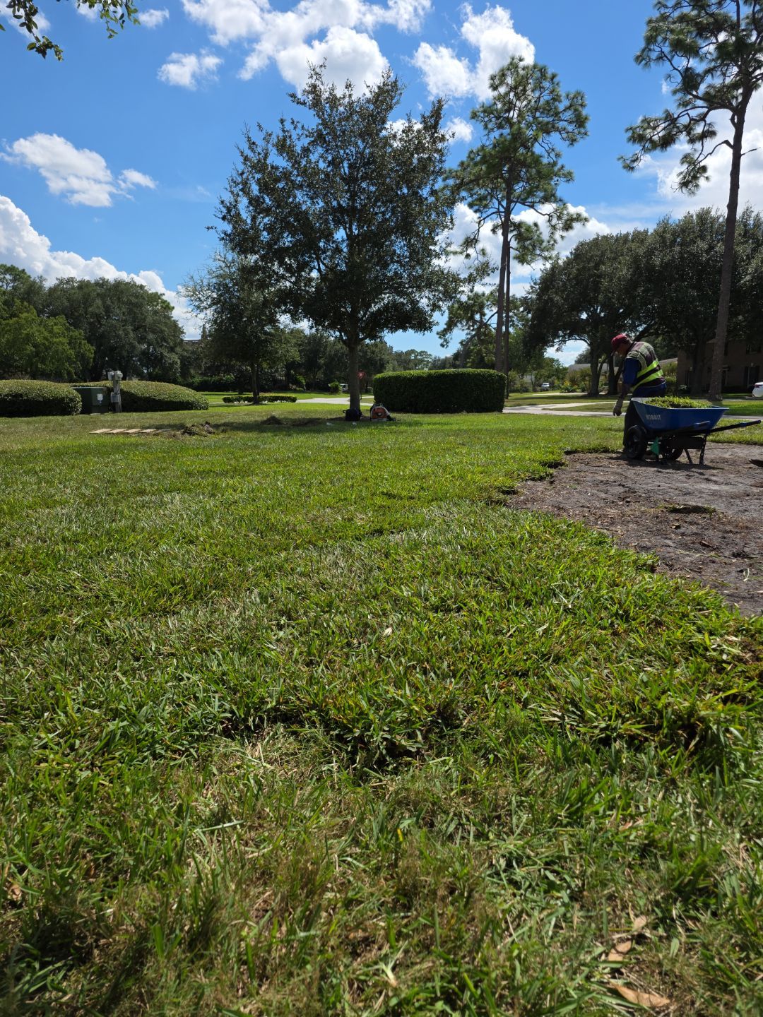 Deerwood Community | Island Landscape Replacement by ProGreen Services