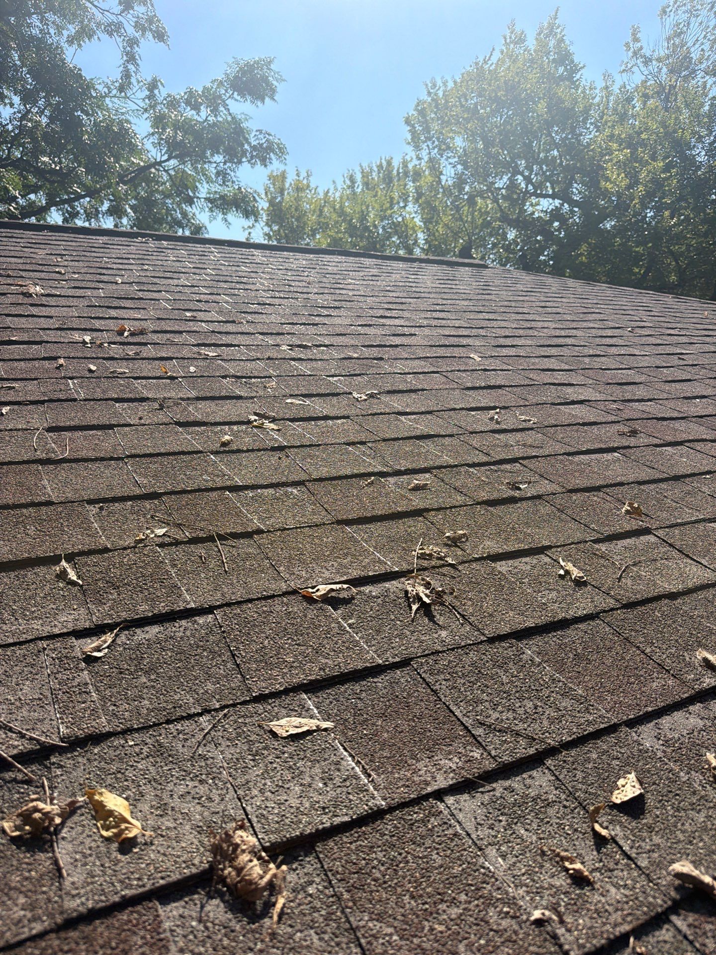 Residential Roof Leak Inspection and Component Assessment in Irving by Rich the Roofer LLC