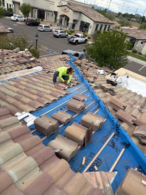 Project in Mesa, AZ