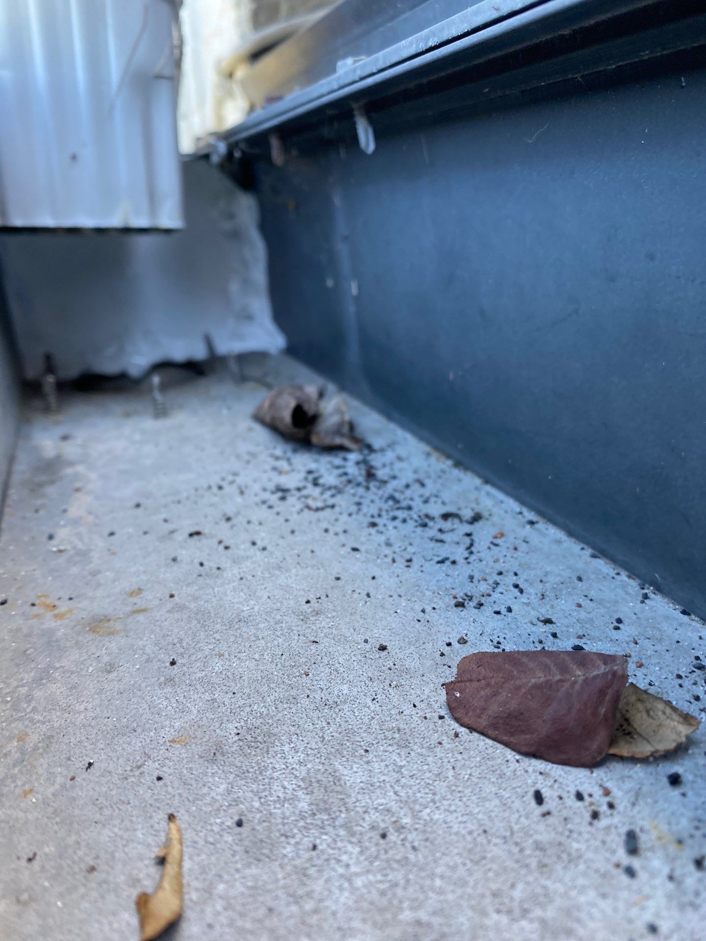 Gutter cleaning all buildings are the same for 6 units in Fort Myers FL by Gutter Professors