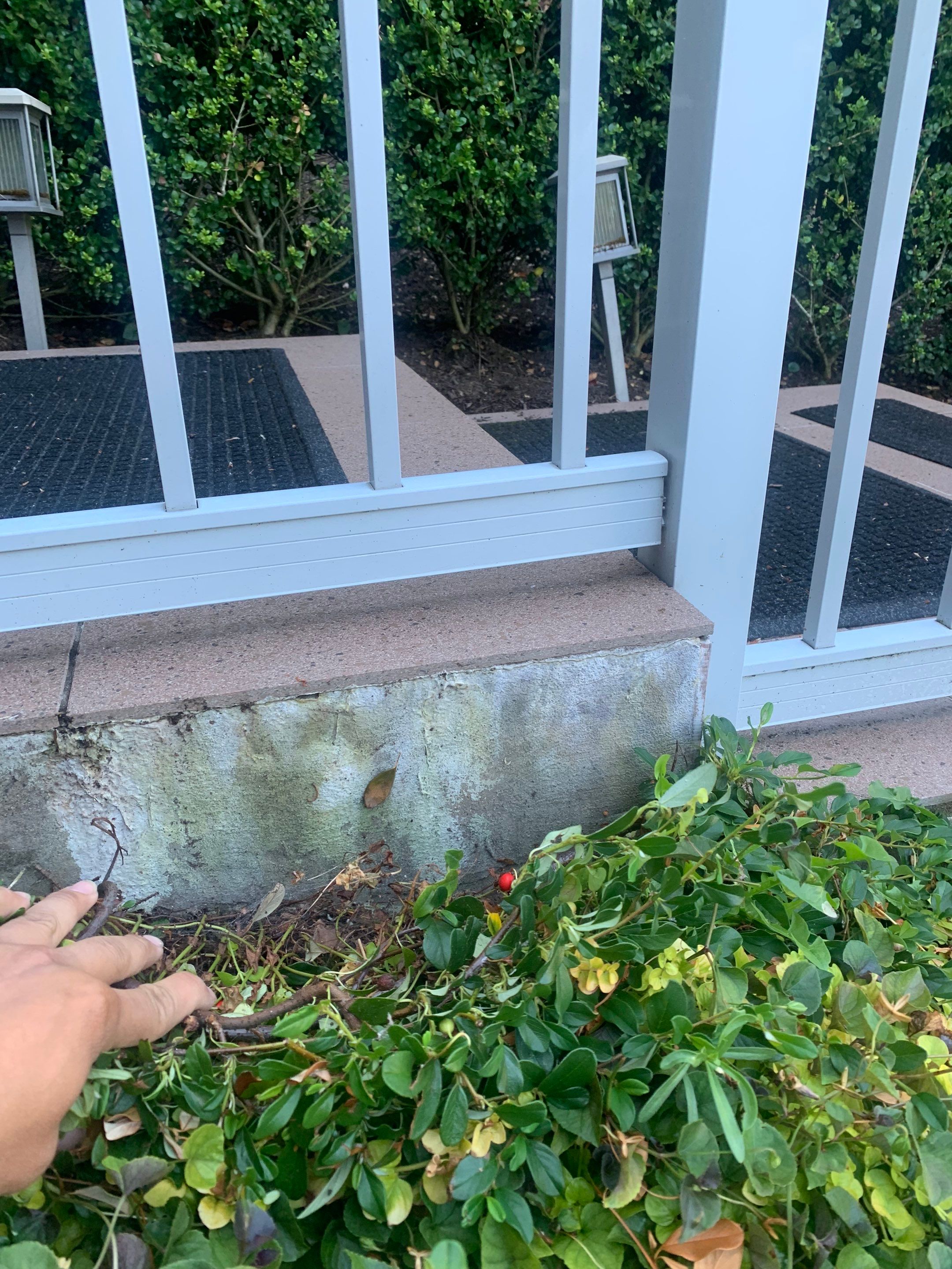 Patricia | Stairway Renovation, Concrete Project by Jireh Asphalt & Concrete Inc 