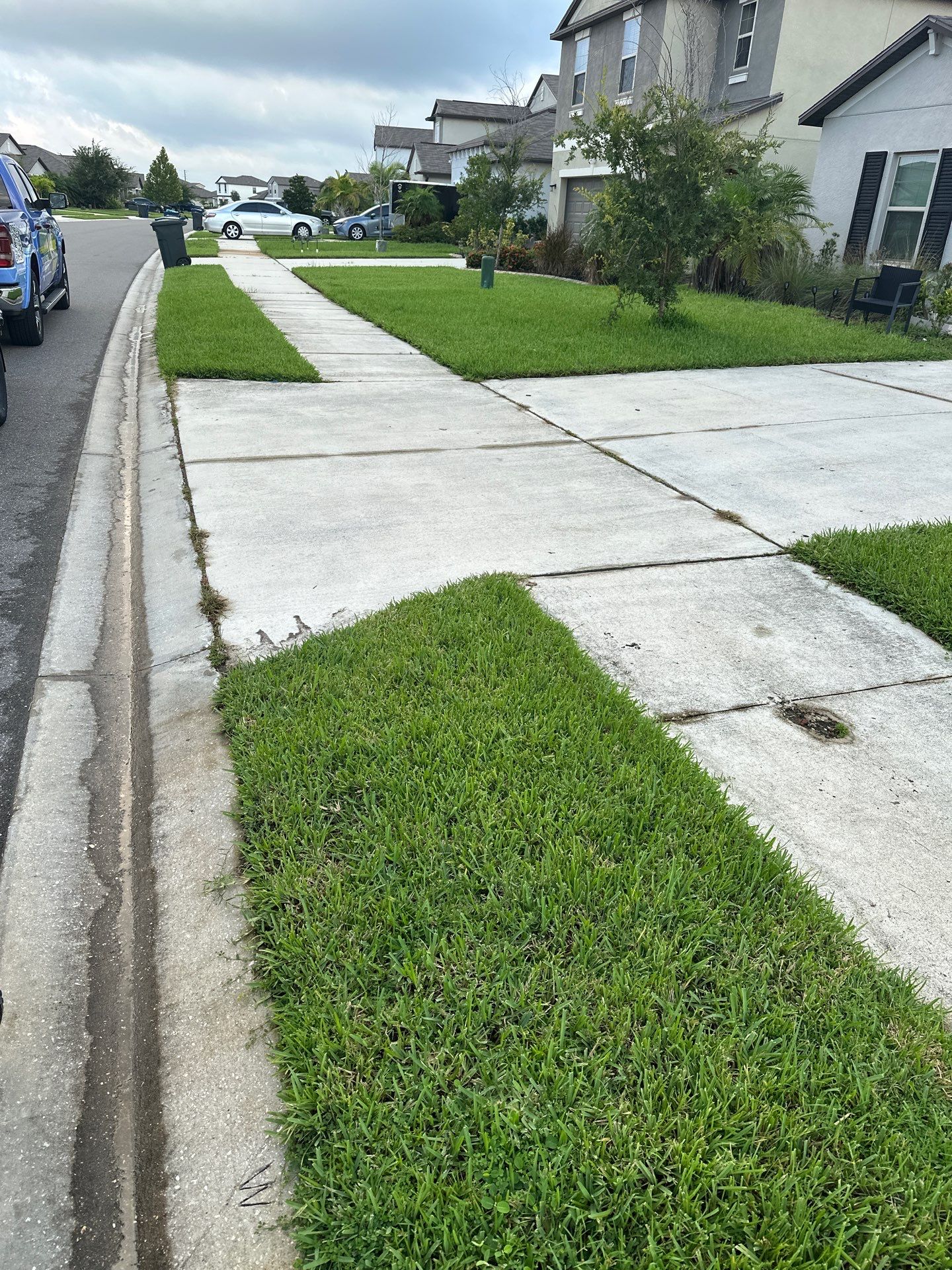 🚿 Concrete Driveway, Sidewalk & Entryway Cleaning – Trevesta Community, Palmetto, FL by Sunshine AquaWash