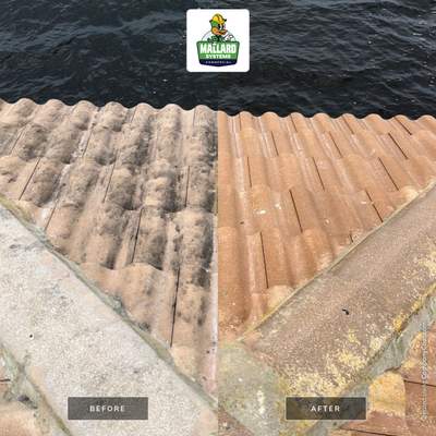 Tile Roof Cleaning and Maintenance in Oakland, Florida