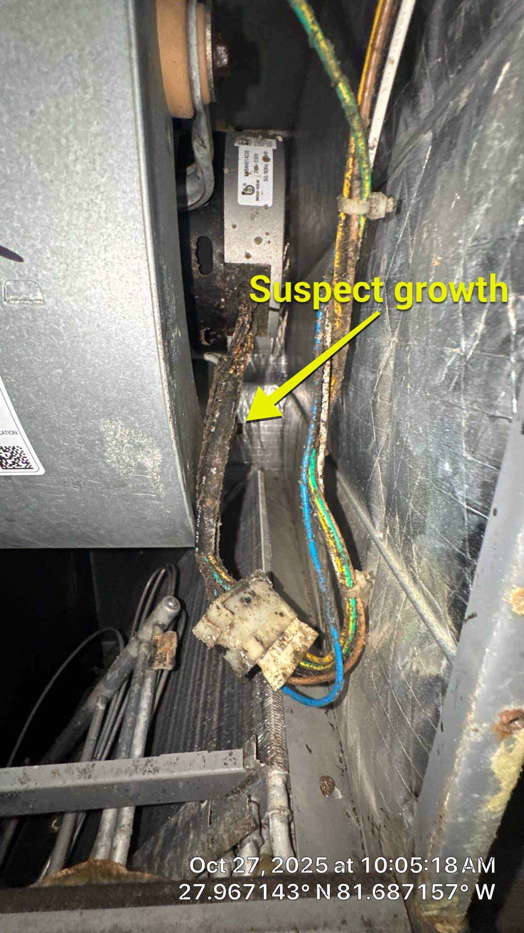 Air Duct and Dryer Vent Cleaning in Winter Garden by Hygienic Air, Inc