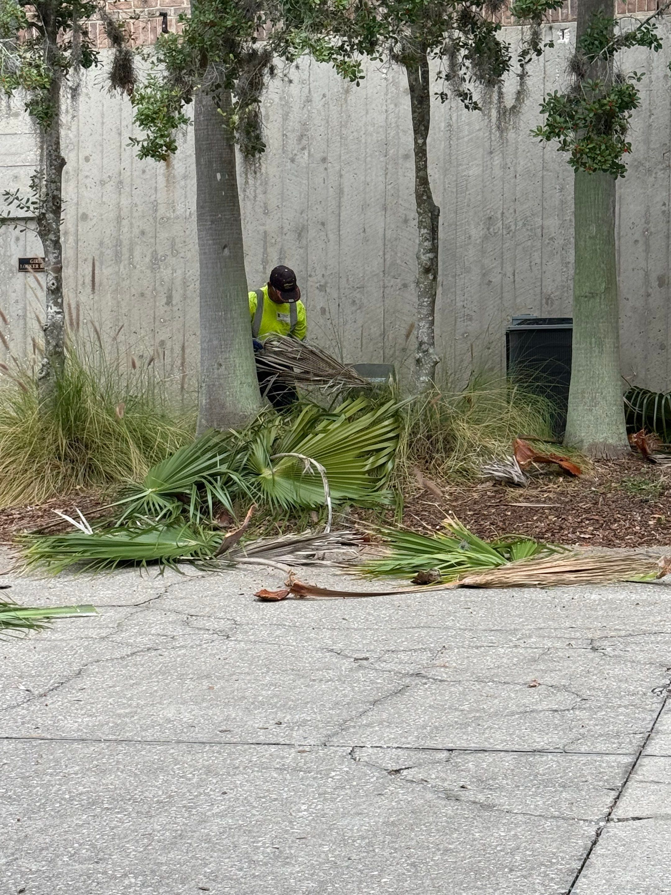 Volunteer Work | Episcopal High School of Jacksonville by ProGreen Services