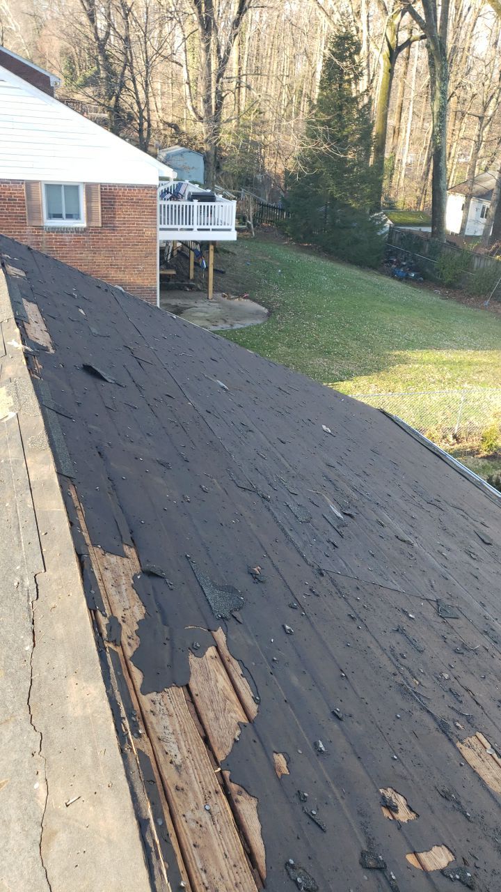Annandale: CertainTeed Landmark Pro Designer Shingles in Max Def Charcoal Black by RM Banning, Inc.
