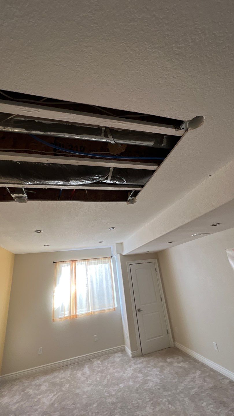 Mold Remediation by Accountable Home Services