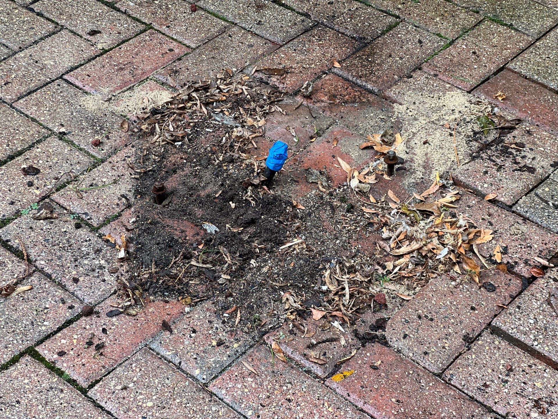 Brick paver clean, sand and seal.  using Surebond SB-1300 by Northern Power Washing LLC.