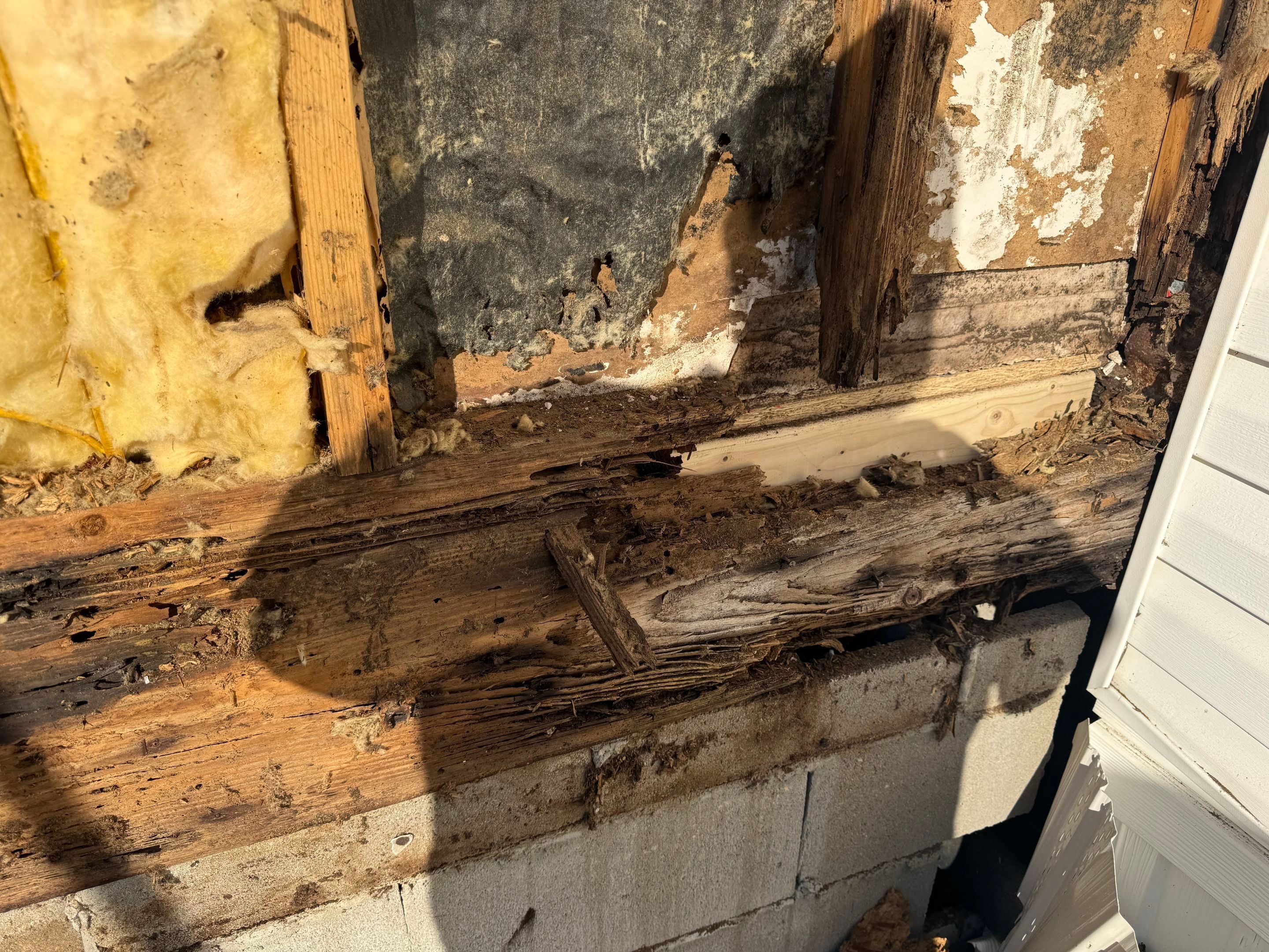 Valdosta Structural Remediation and Interior Renovation with New Header Beams by Trinity General Contracting Pros