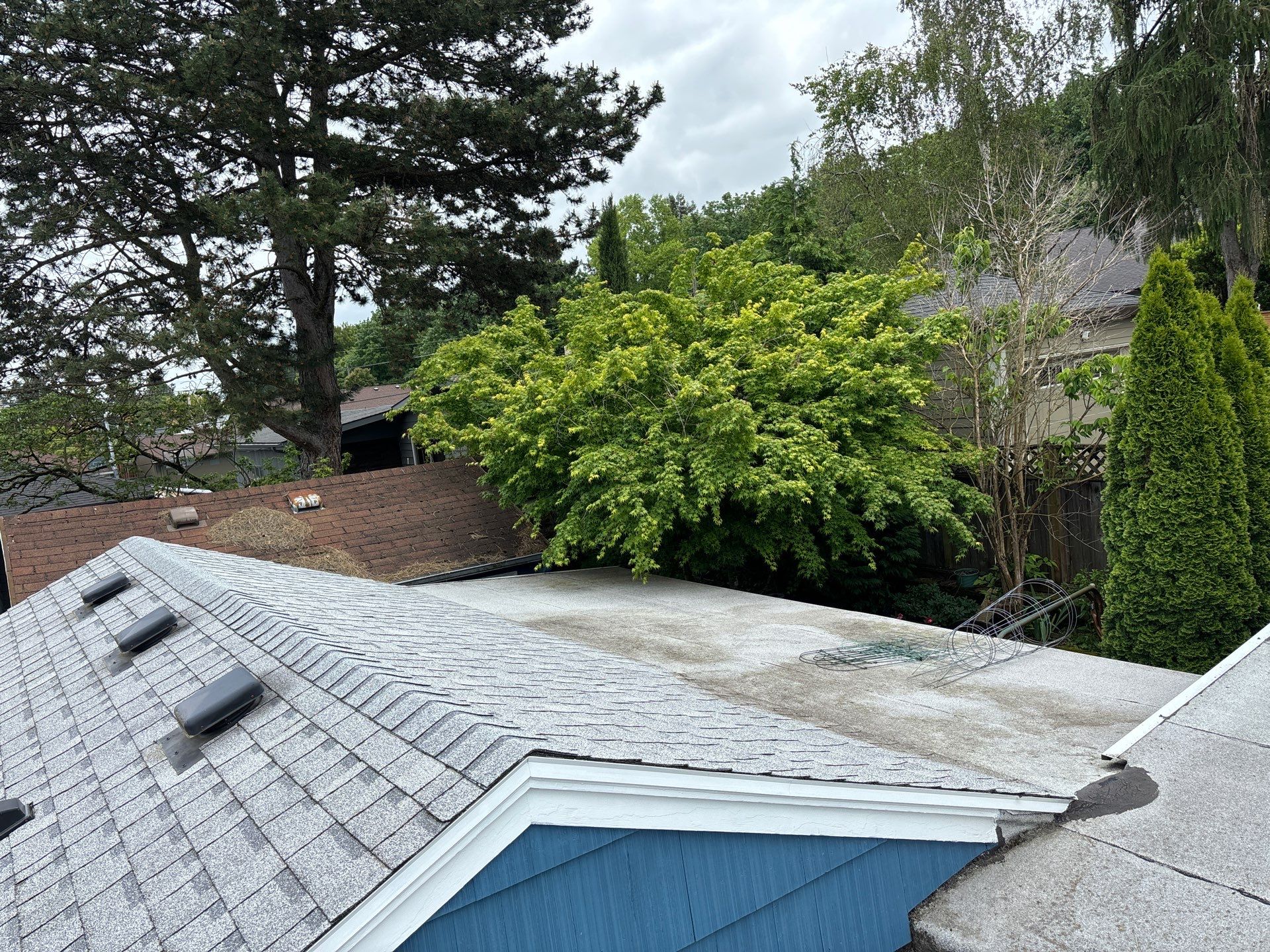 Roof Insurance Repairs in Portland by Prodigy Roof Solutions
