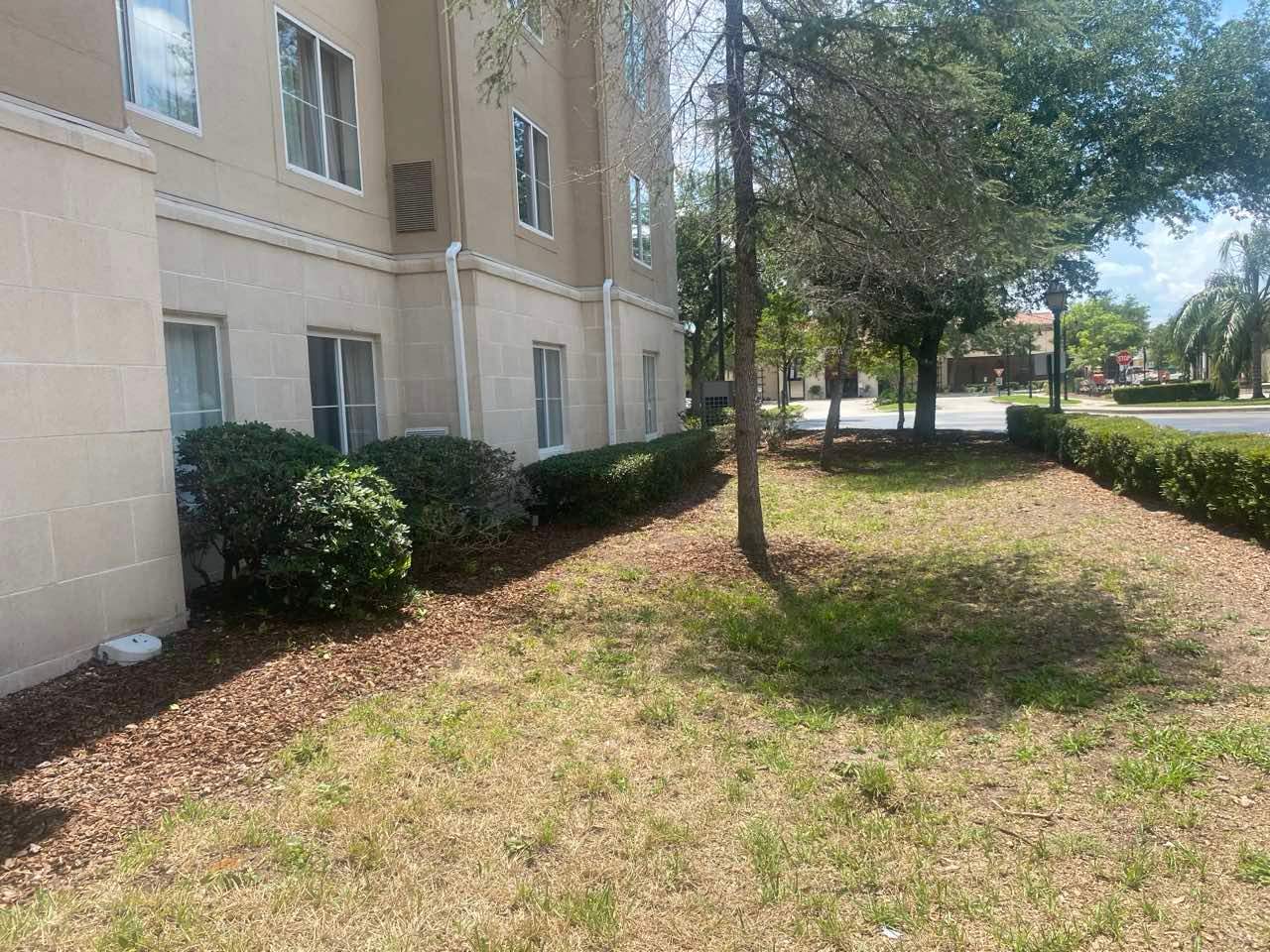 Homewood Suites | Tree Service by ProGreen Services