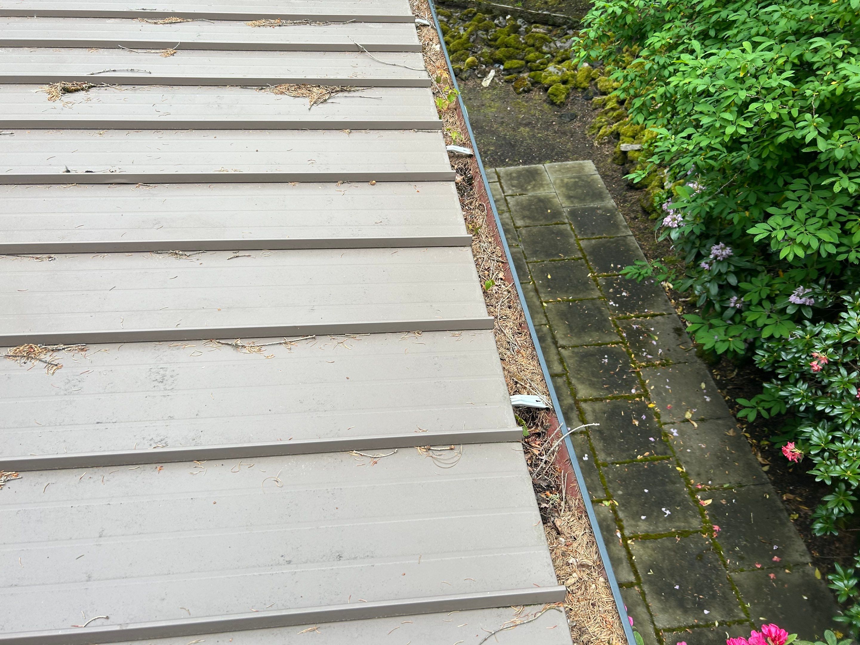 Roof Cleaning in Portland by Prodigy Roof Solutions