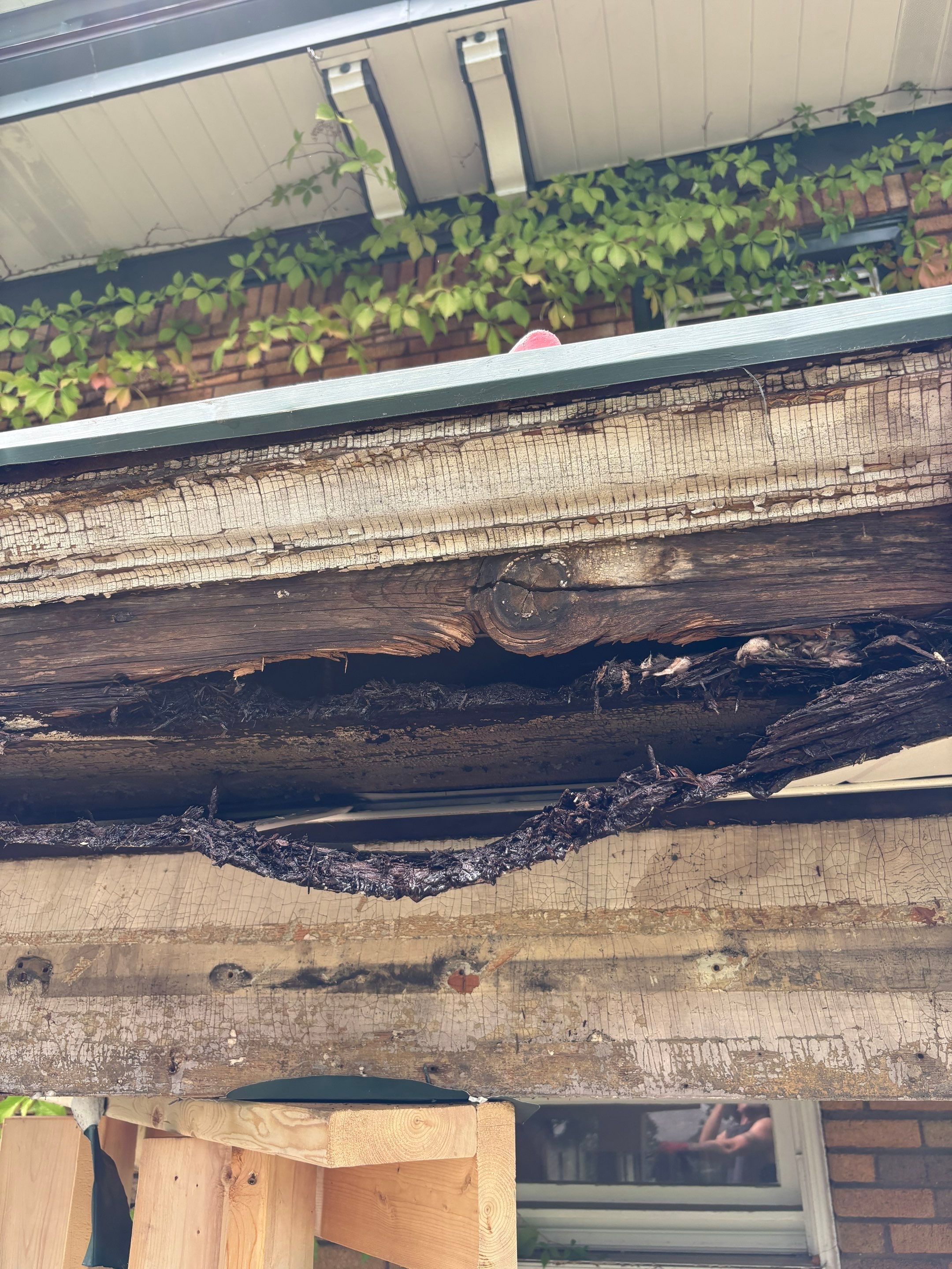 Deck and Roof build  by Cousins Roofing Siding & Decks