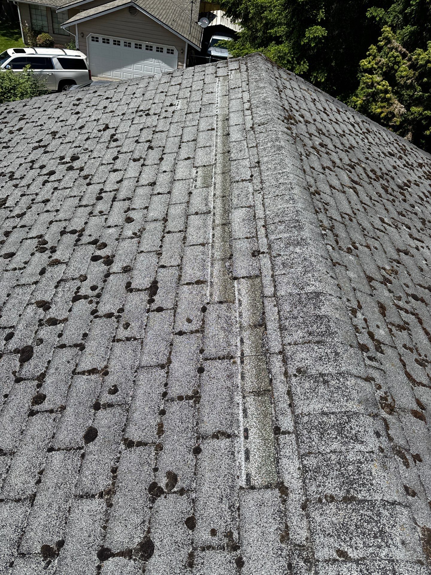Project by Connolly Construction Company by Peaks and Valleys Construction