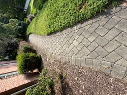 Solar Panel Cleaning in Mount Olive, NJ — Gallo Bros job photo