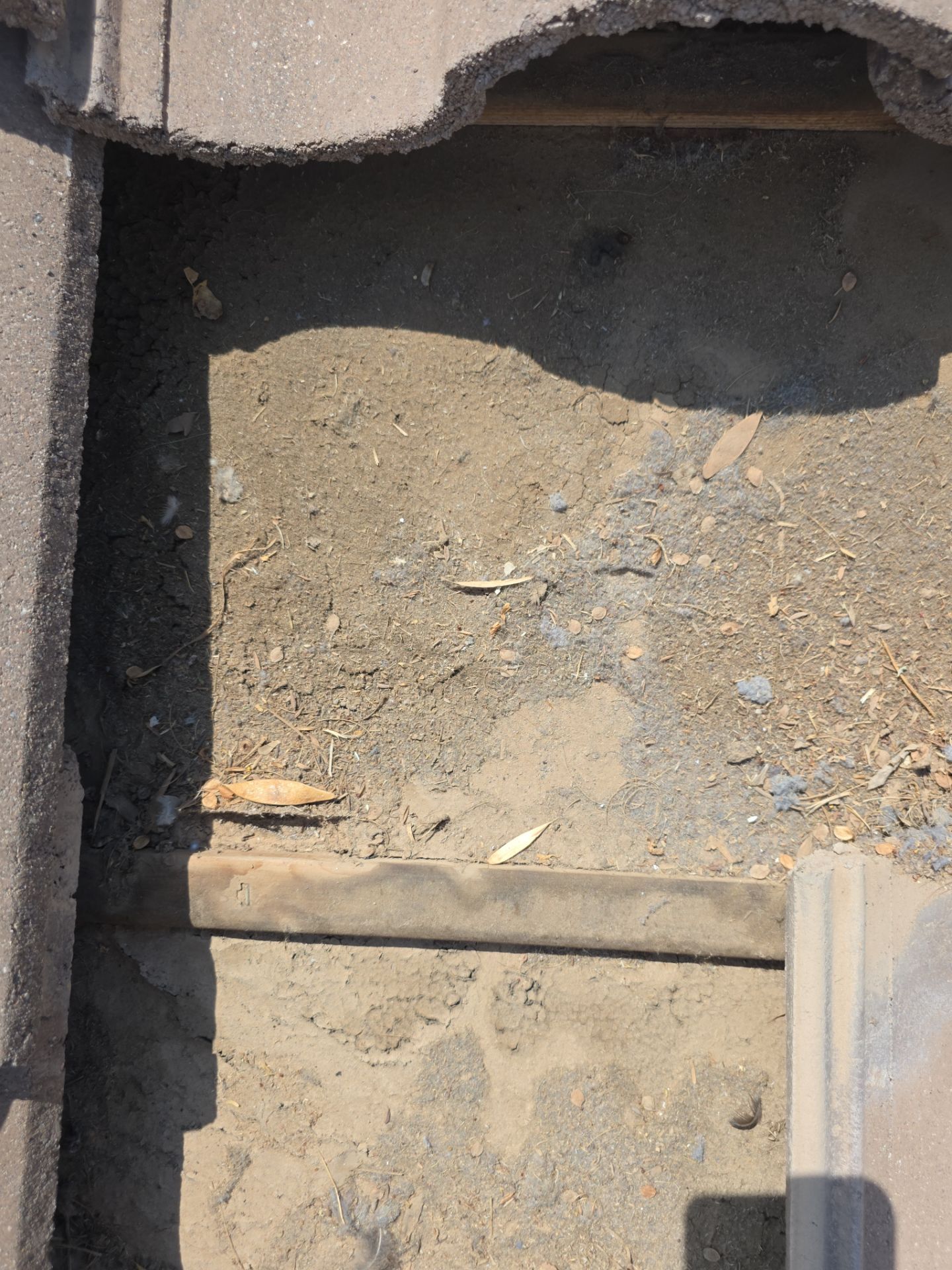 Recent Rain and Storm Damage in Gilbert by Weather-Tite Roofing
