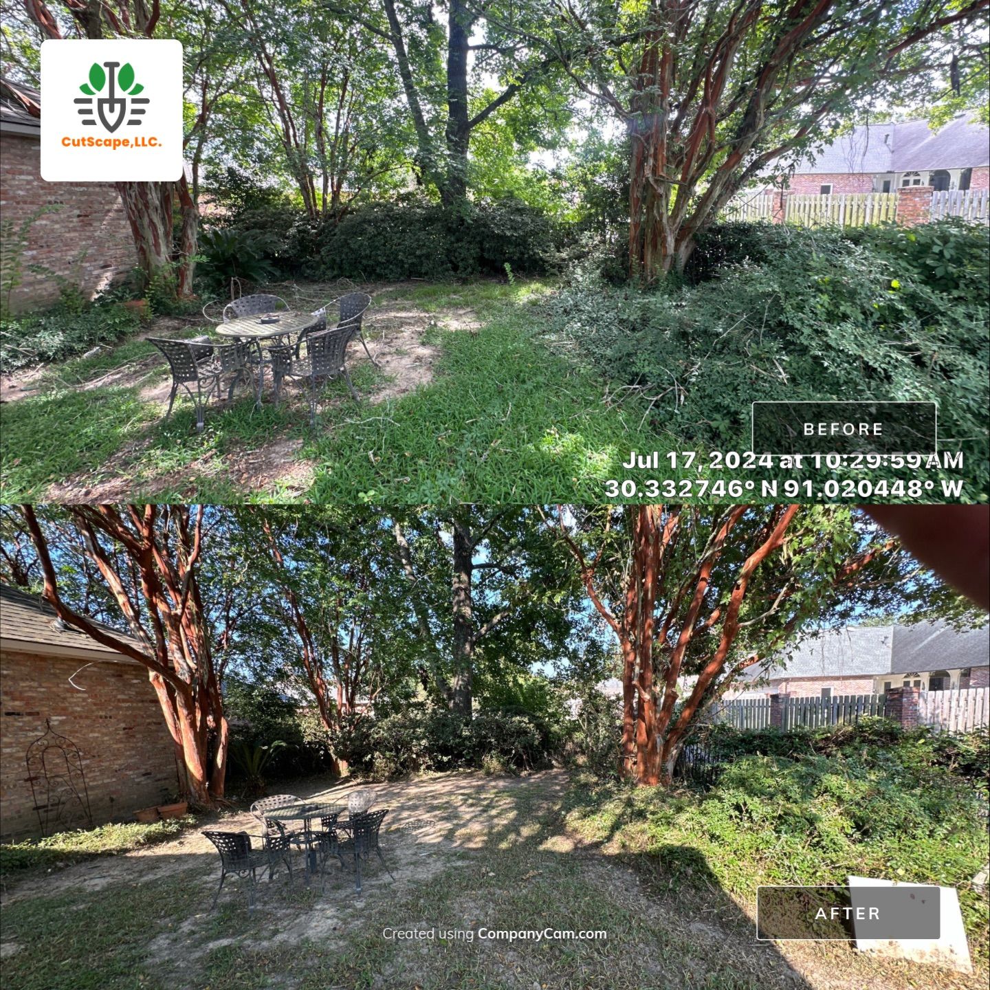 LANDSCAPE SERVICES: CLEAN OUT / TRIM / BRUSH DEBRIS REMOVAL by CutScape, LLC.