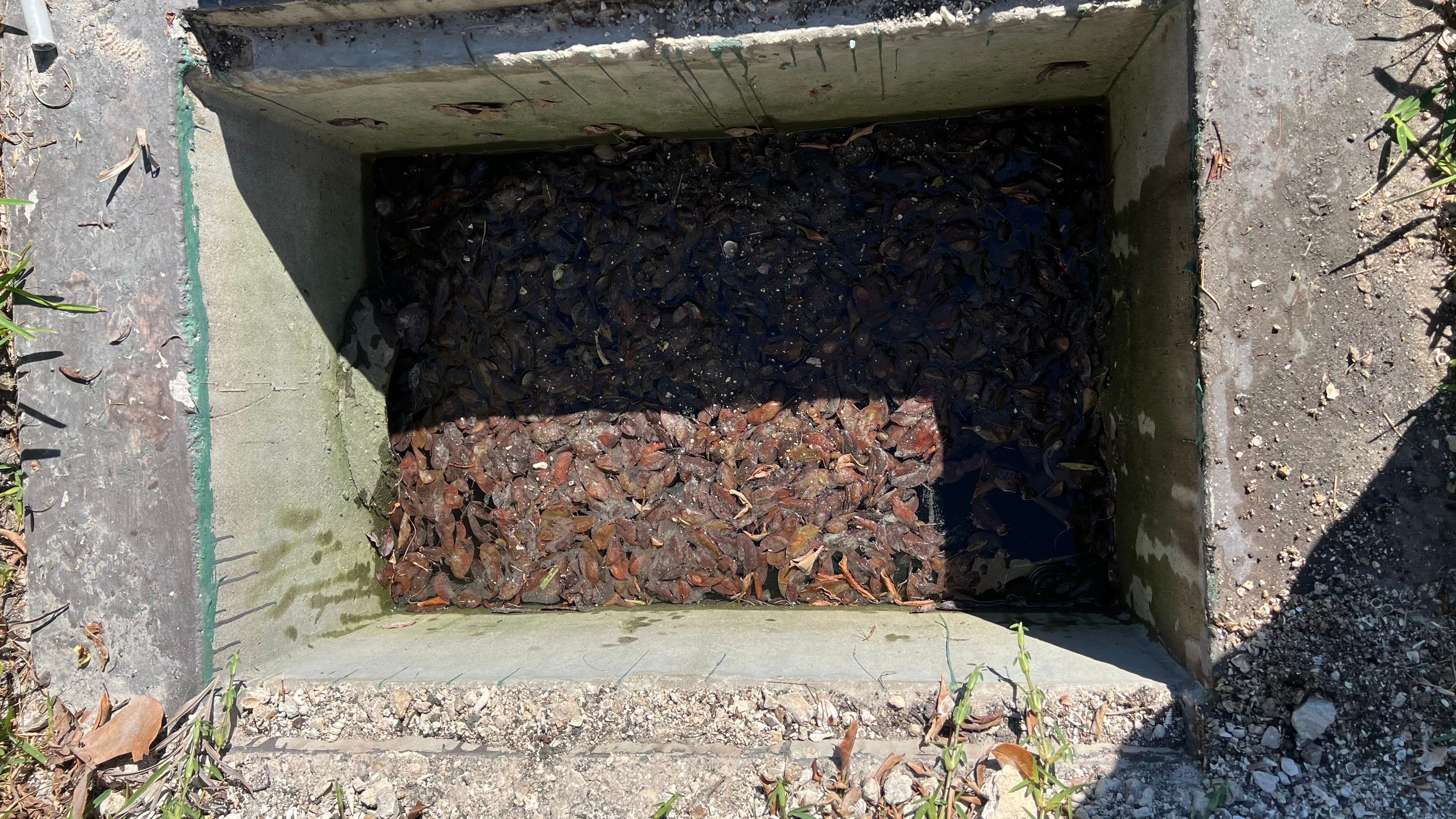 Naples Condo Complex Stormwater System Maintenance and Hurricane Cleanup by Don Mar, Inc. Storm Water Solutions