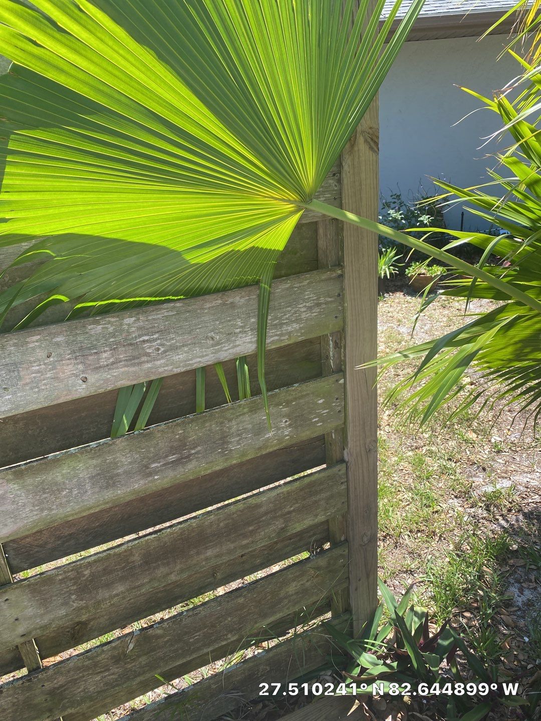 Bradenton, FL 6ft. Tall White Vinyl Privacy Fence by Asap fence and gates, LLC