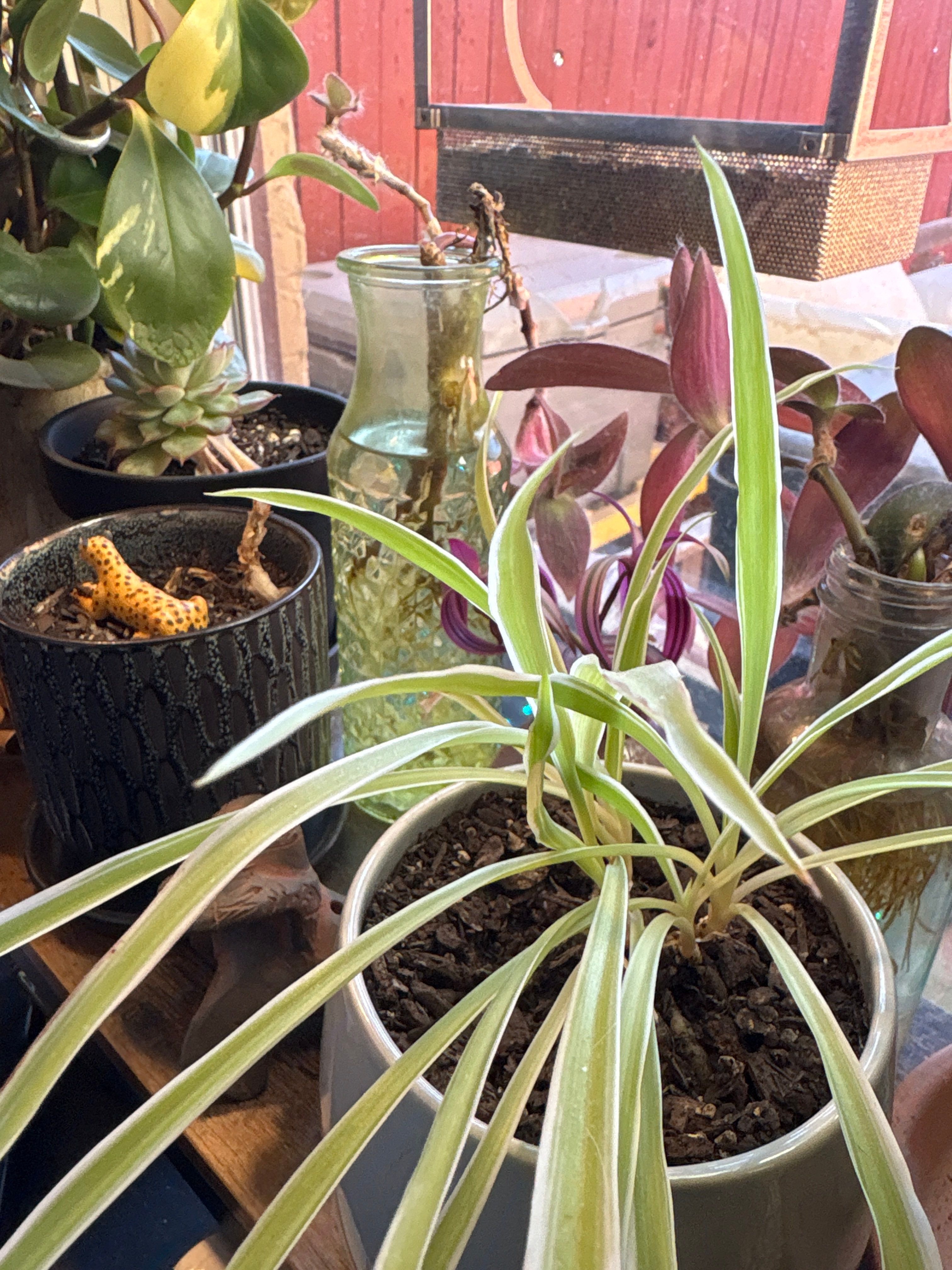 Drew's House by CompanyCam | Account Management Demo Account