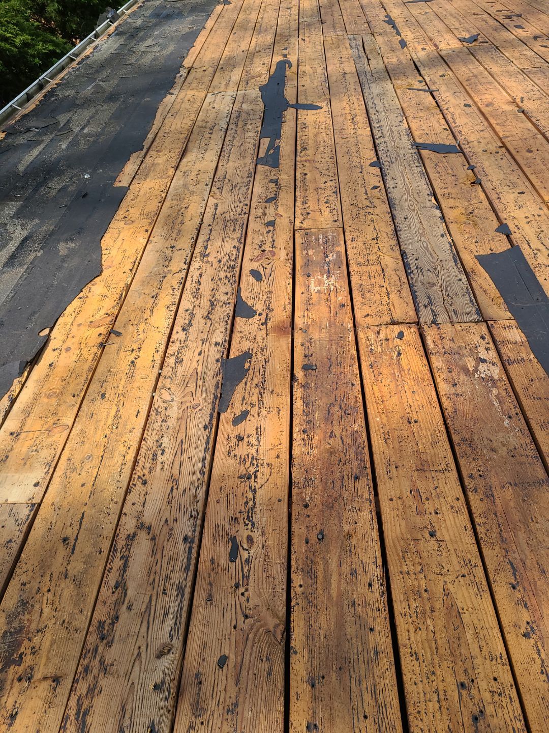 Alexandria CertainTeed Landmark Pro Roof in Max Def Charcoal Black by RM Banning, Inc.