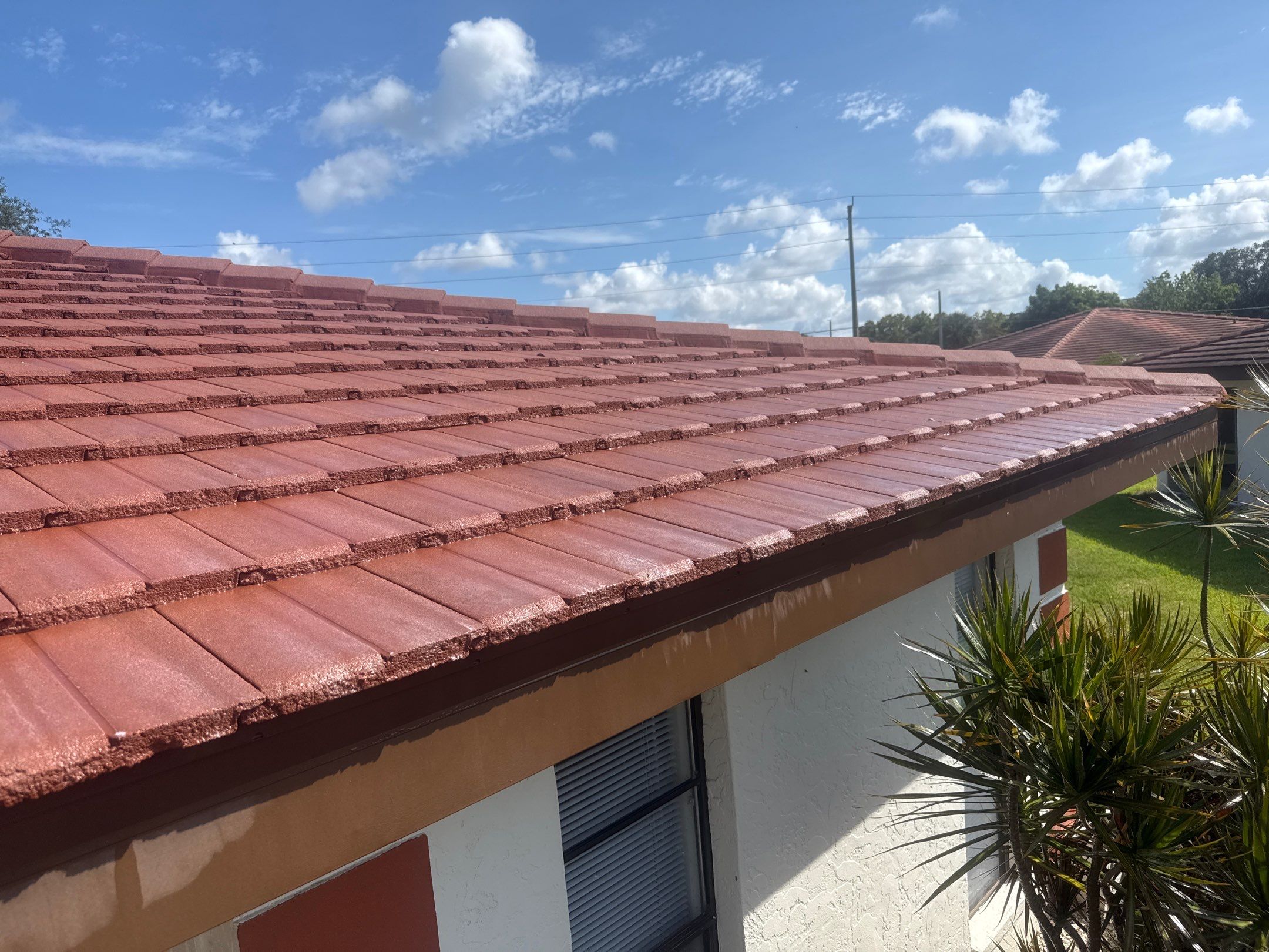 Tile Roof, Driveway & Patio Cleaning – Vivienda at Bradenton I by Sunshine AquaWash