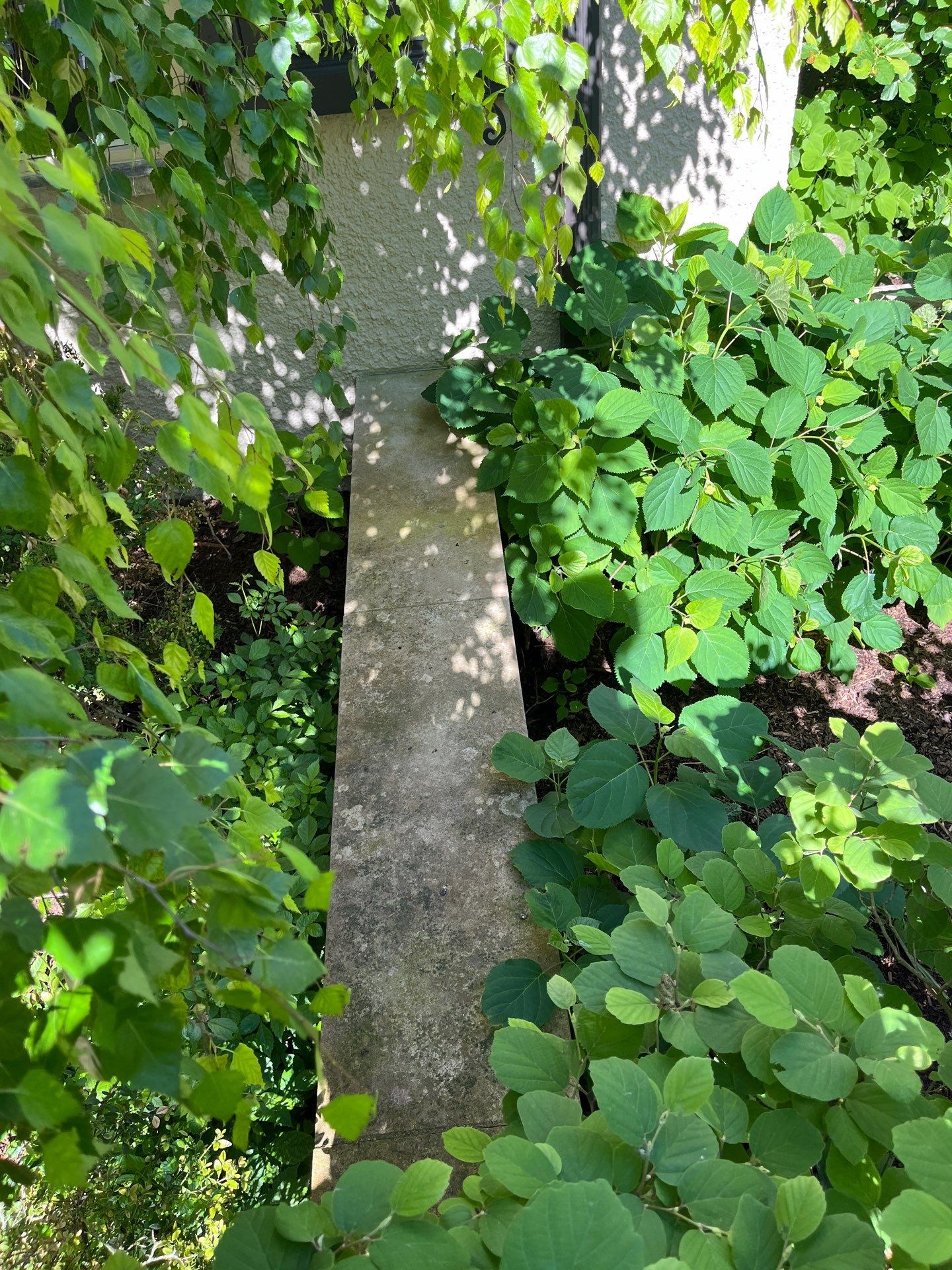 Natural Stone Surface Pressure Washing by Northern Power Washing LLC.