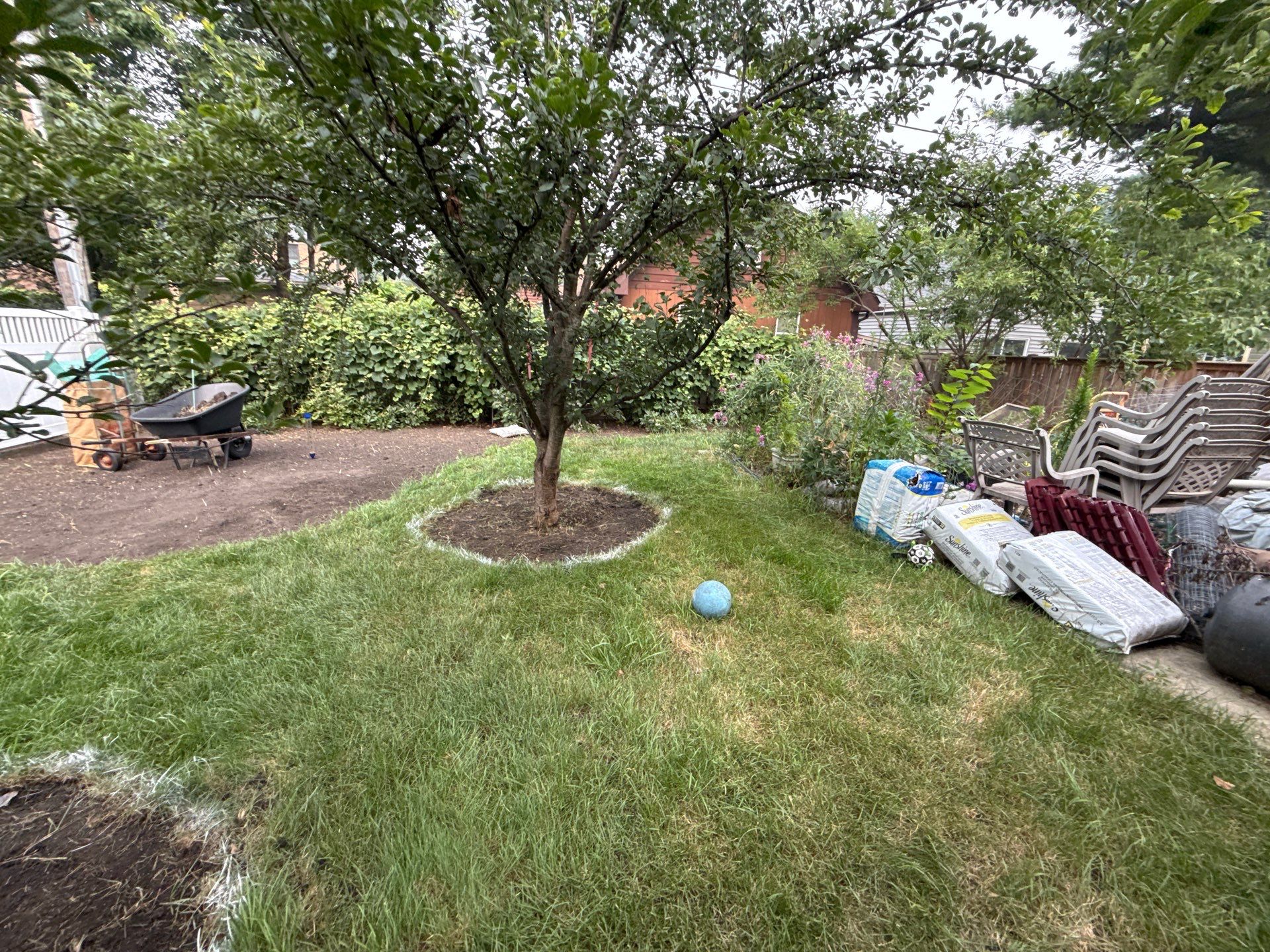 Donna L. - Arlington Heights, IL by A&N