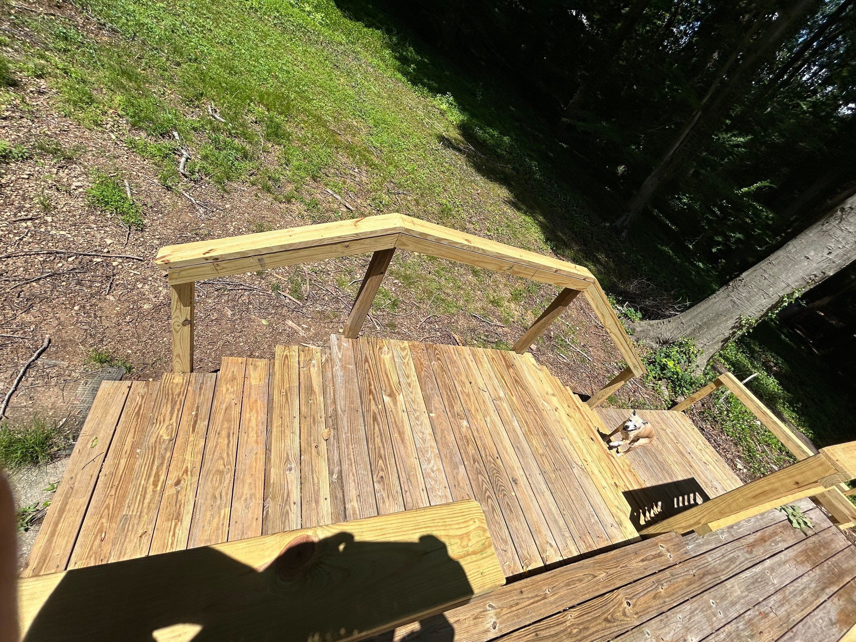 Annandale: Multi-Trade Tree Damage Restoration by RM Banning, Inc.