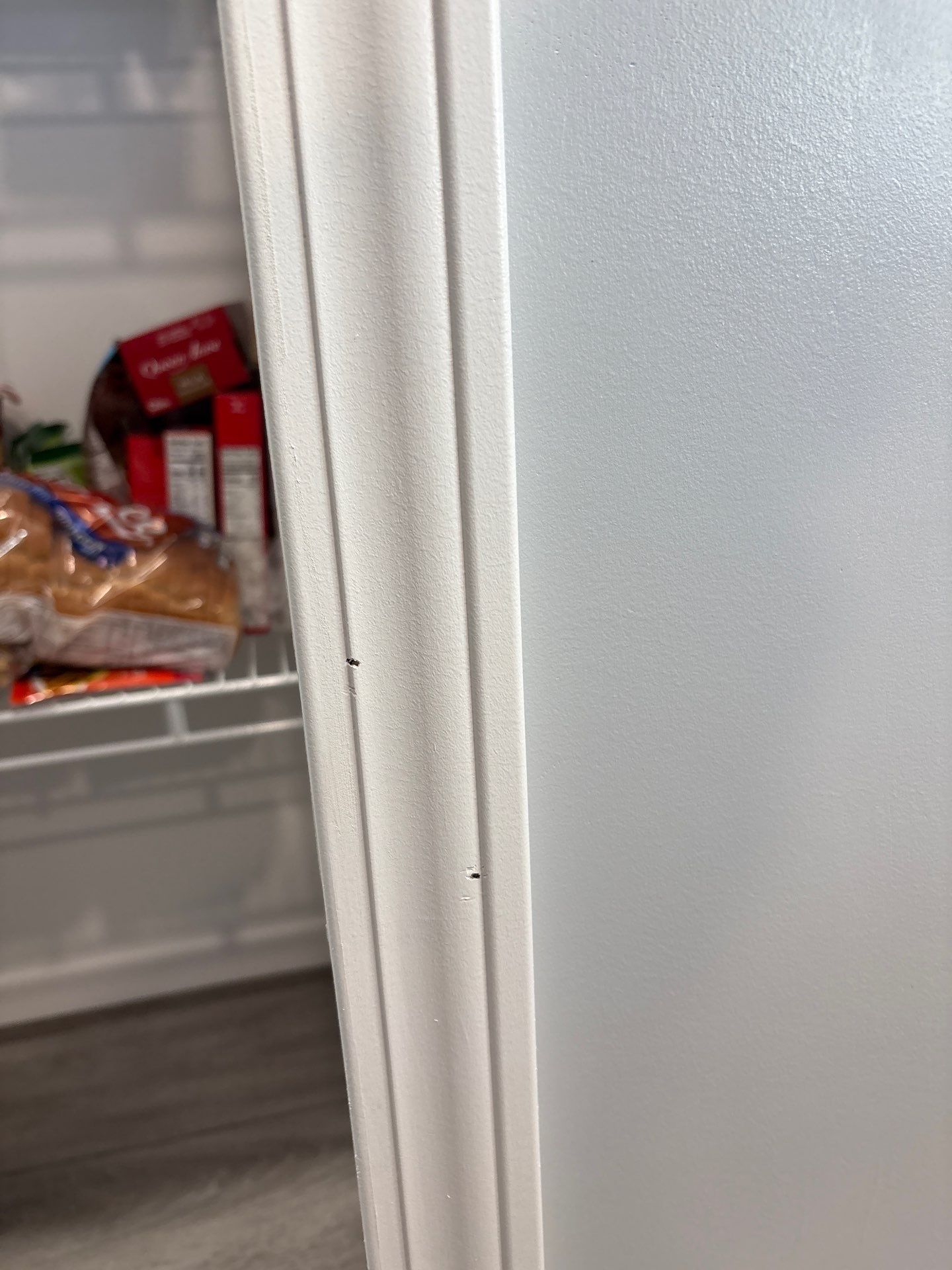 Project in New Haven by Townsend Design & Renovation LLC