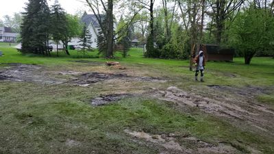 Tree Removal using Tree Removal