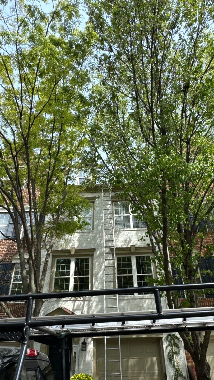 Alexandria: CertainTeed Landmark Pro Designer Shingles in Max Def Georgetown Gray by RM Banning, Inc.