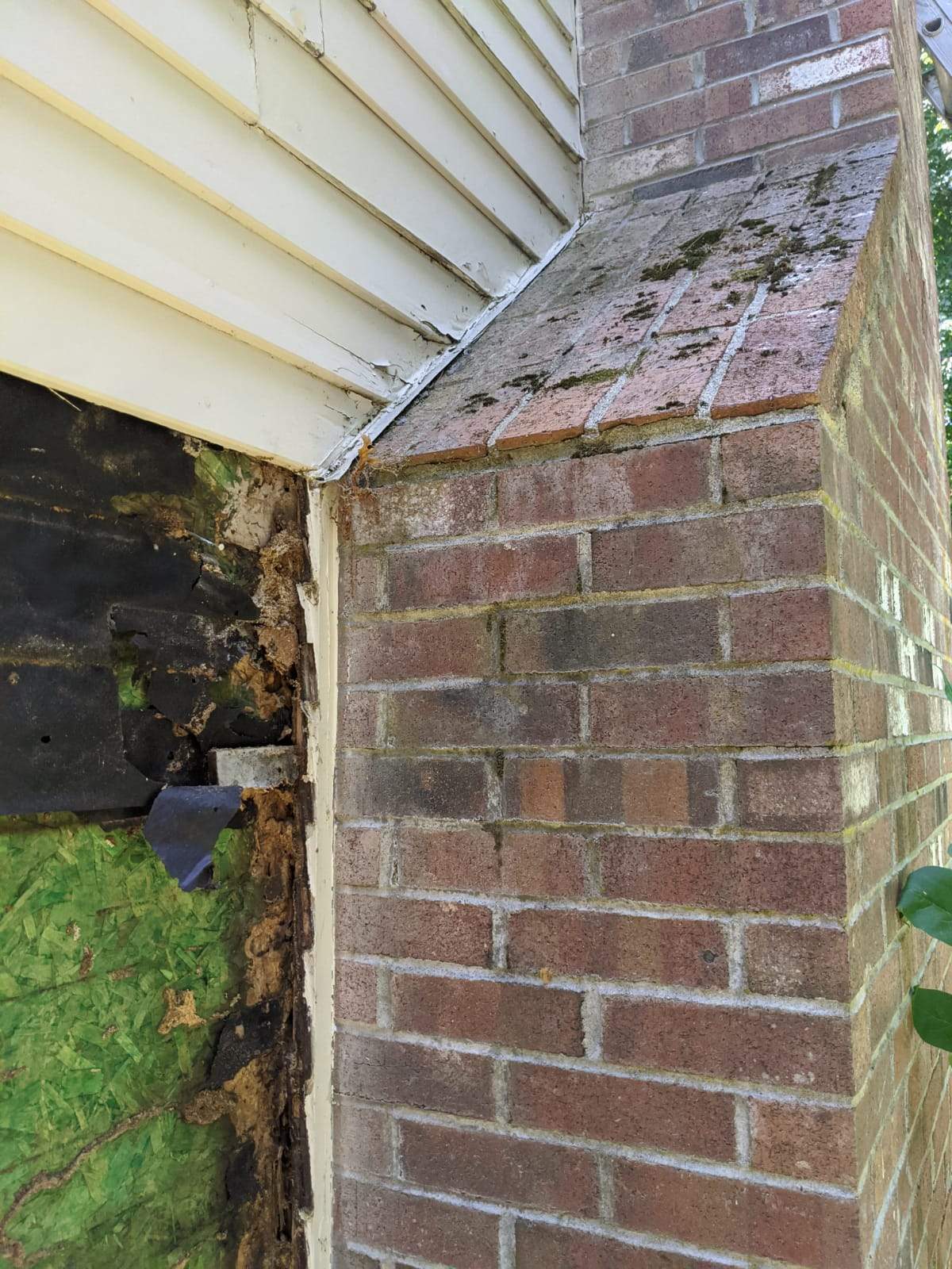 Siding Installation using Certainteed Monogram Siding by Loyalty Exterior Solutions 