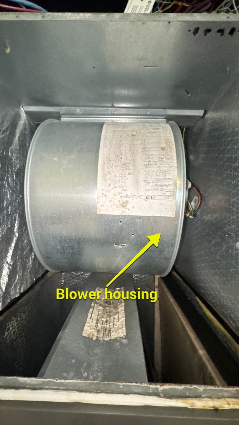 Air Duct and Dryer Vent Cleaning in Orlando by Hygienic Air, Inc