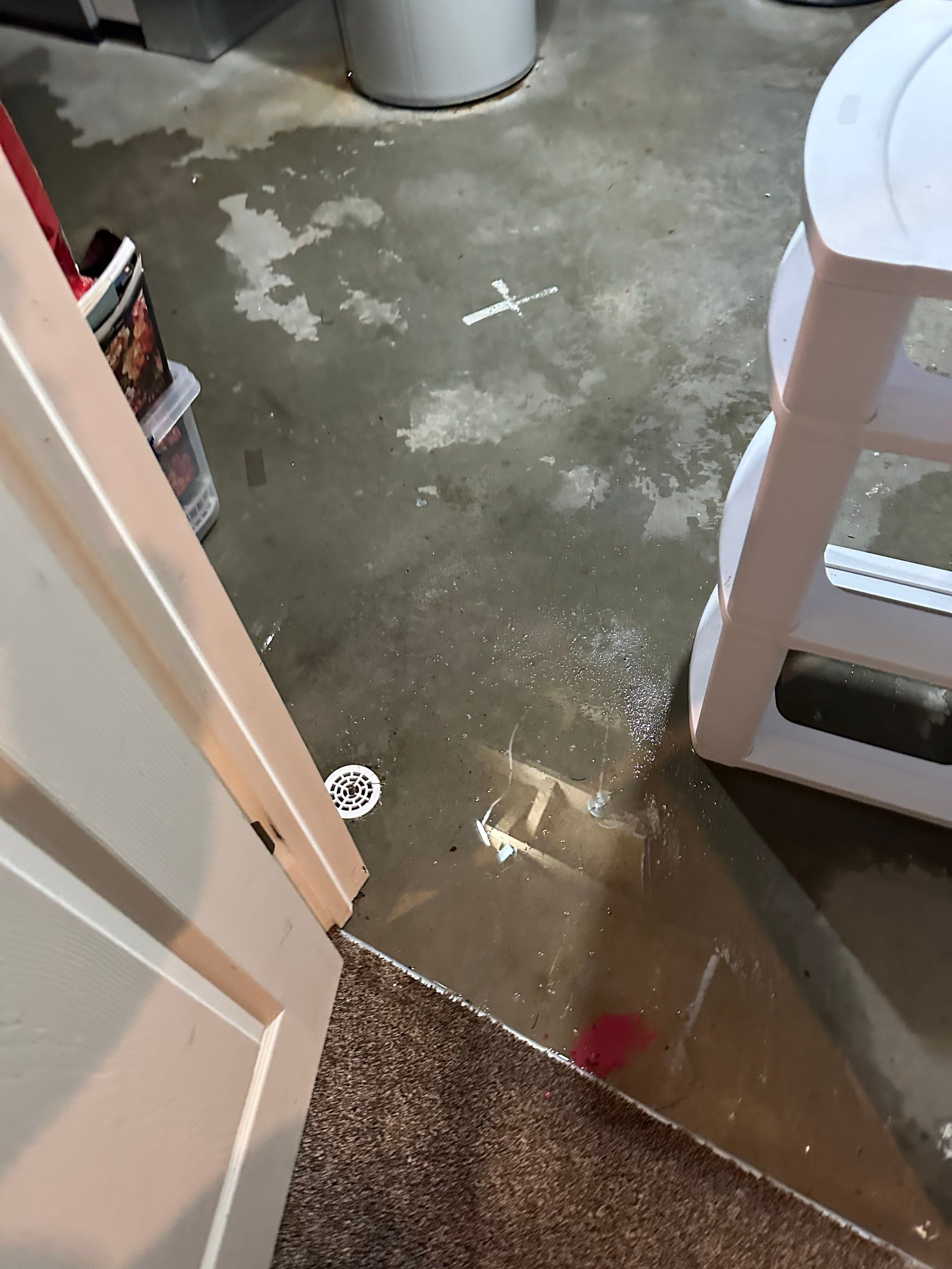 Project in White Lake by EzDry Water Mitigation & Property Restoration