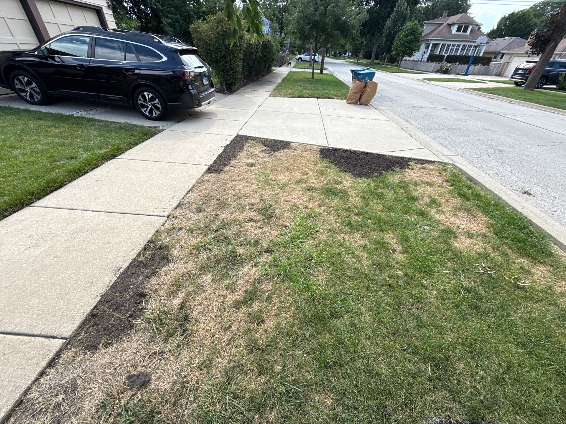 Chris S. - Mount Prospect, IL by A&N
