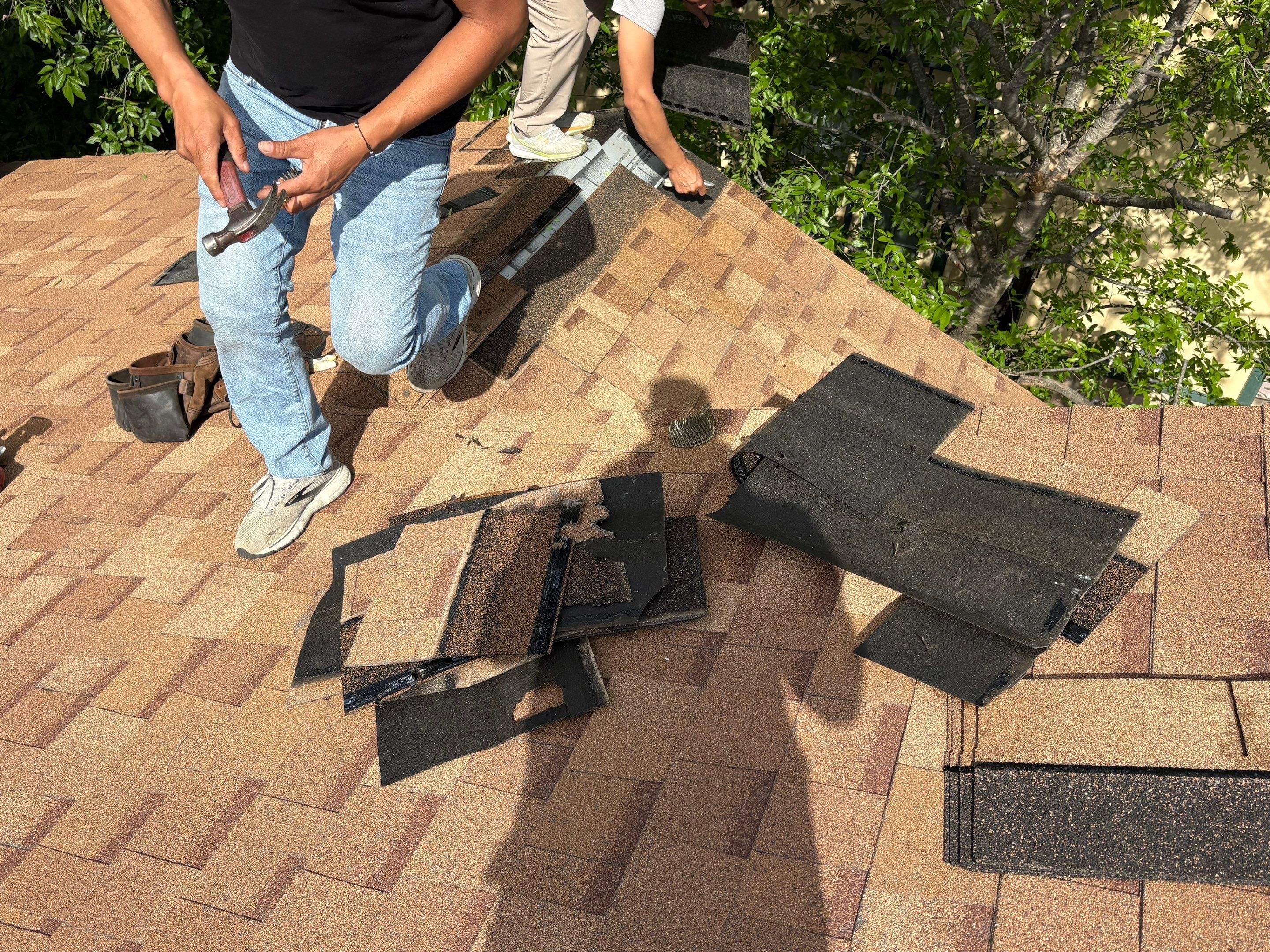 Roof Leak Repair & Tree Trimming in Pflugerville, TX by Kstylez Roofing & Construction