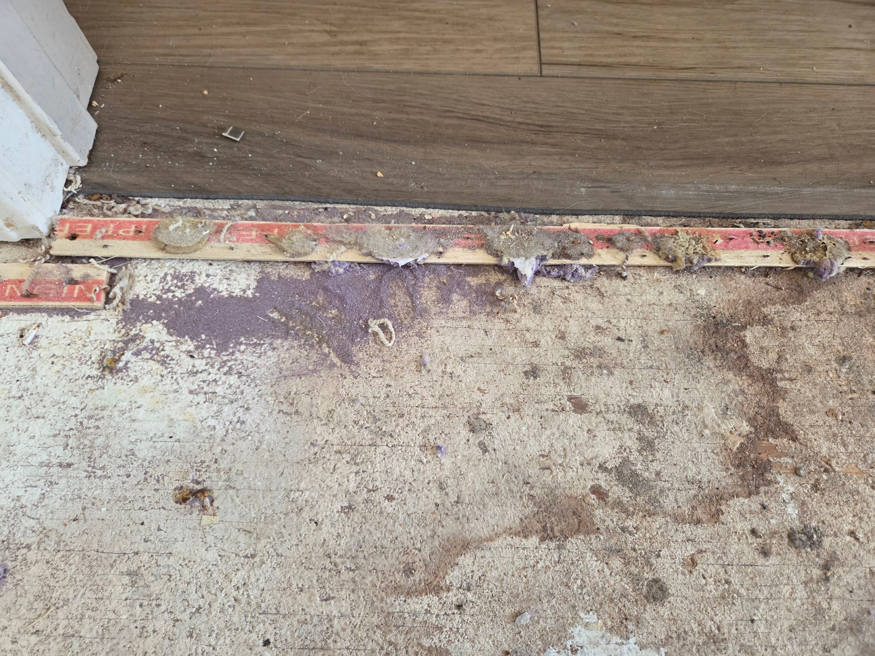 Carpet Repair in Shingle Springs by Ardent Carpet Restore LLC