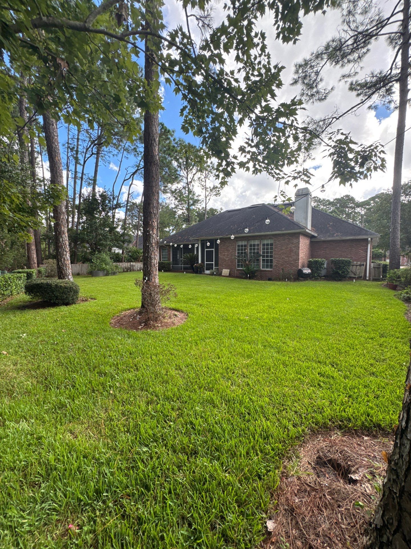 Residential | Shrub Trimming by ProGreen Services