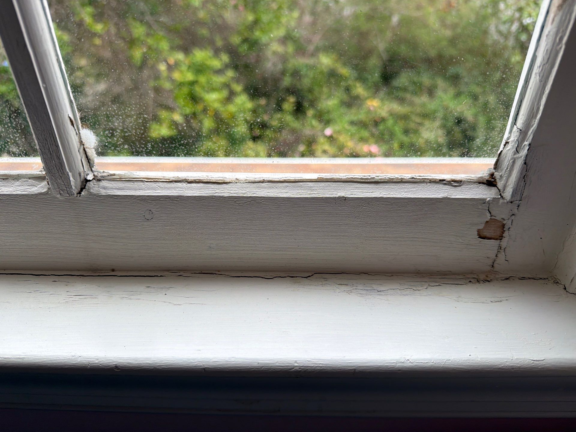 Interior Wall Repair and Crown Molding Installation by Praise God Painting, LLC