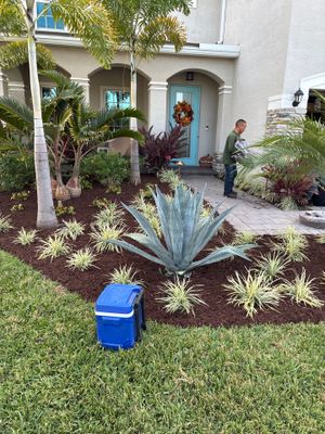 🍃 Berry Park | Detail & Refresh Project  📍 Palm City, Florida